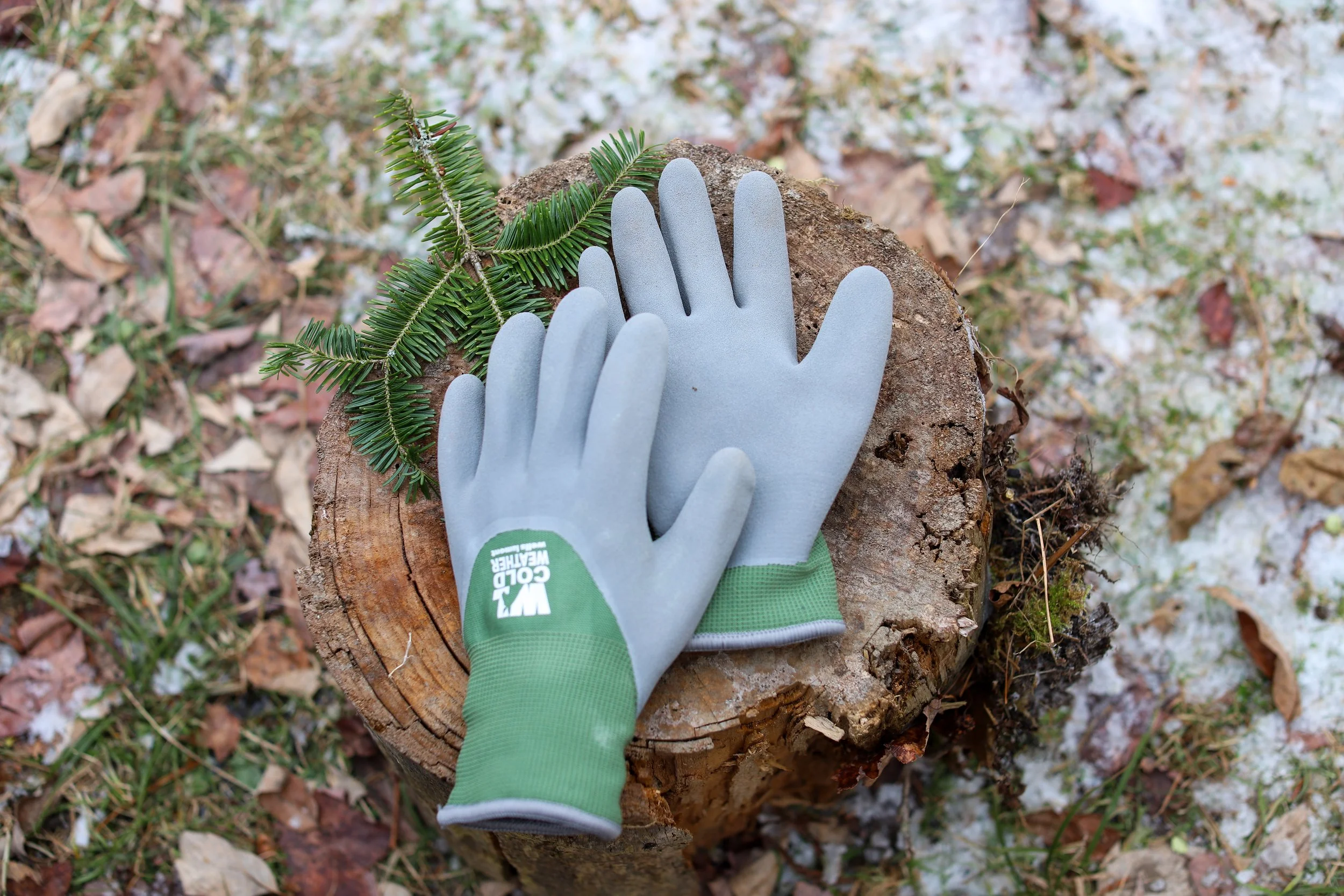 © Gigi Bee Photography