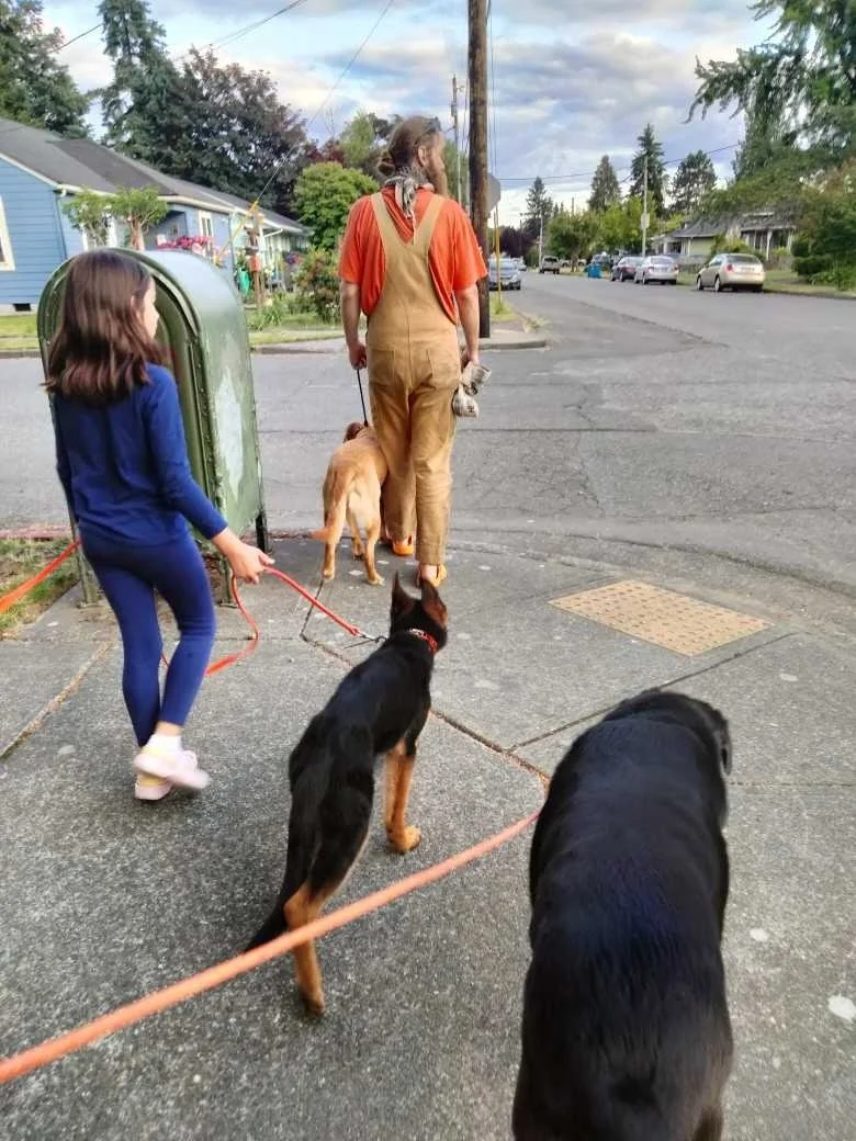 A man walking with two dogs and a young girl walking with a dog on a residential street.