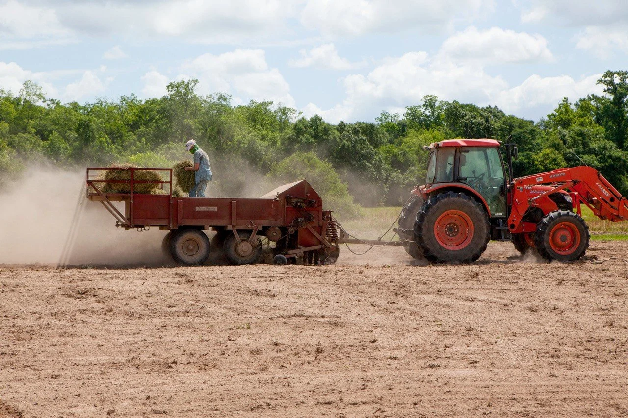Combatting Drought in Landscaping: SoilAmendments That Make Every Drop Count