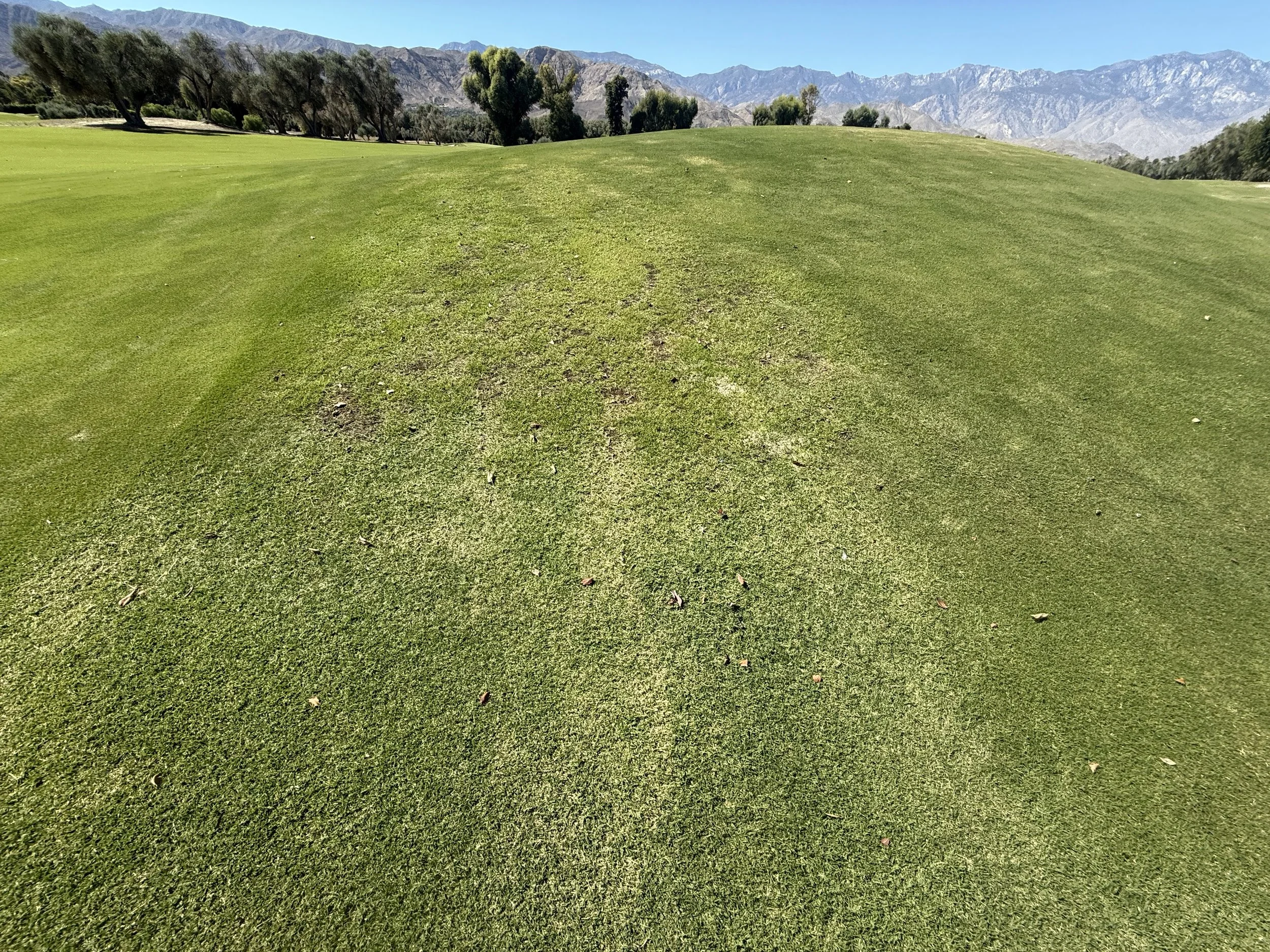 Water Retention on Coachella Valley Golf Courses: A Smarter Way Forward