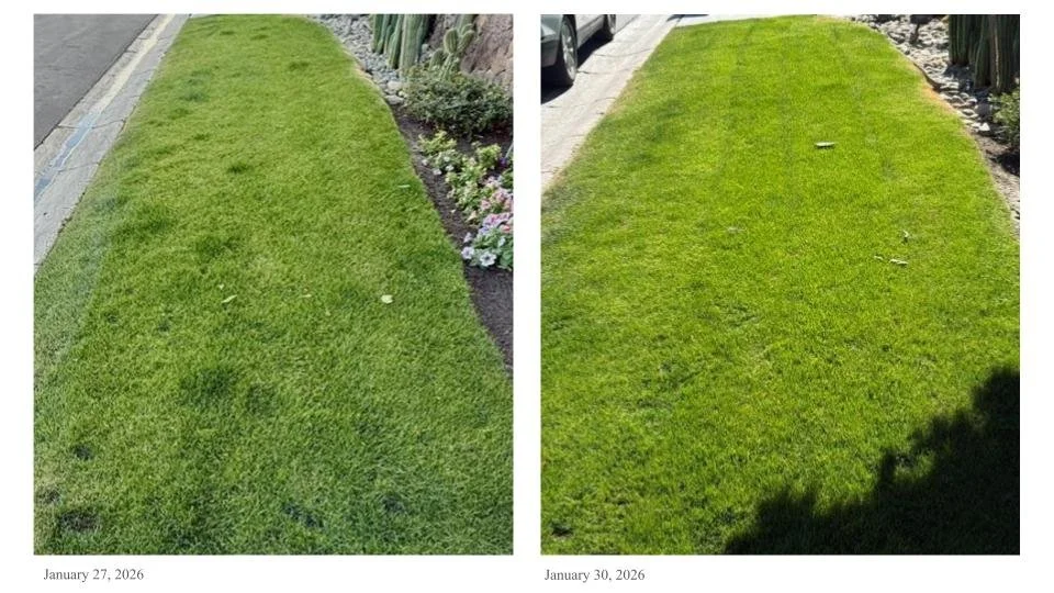 Dog Urine Spots Gone in Three Days: How Encapsalt™ Improves Soil Conditions for Healthier Turf