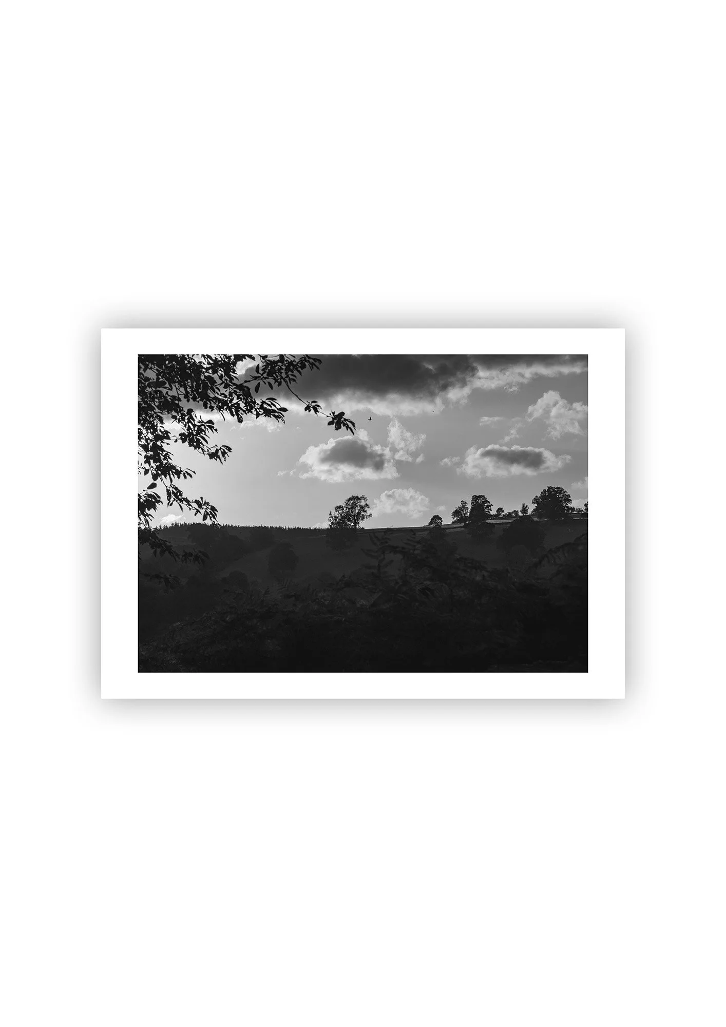 Noire Landscape - Print.jpg