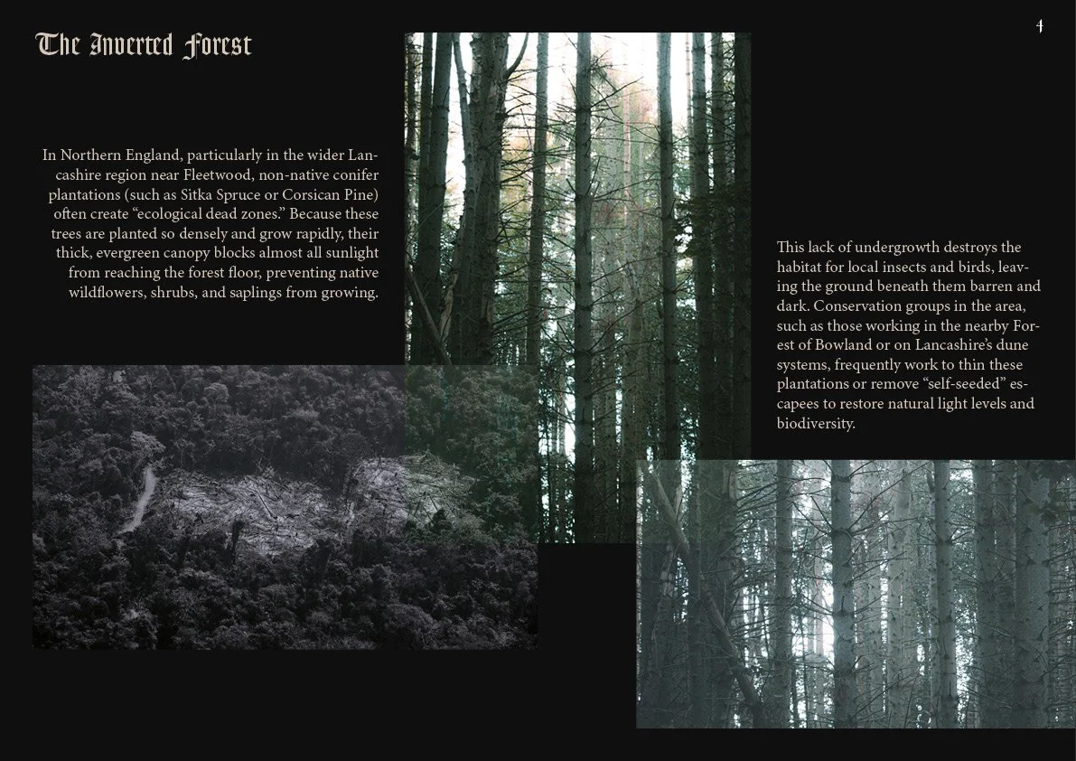 The Rat King - Look Book4.jpg