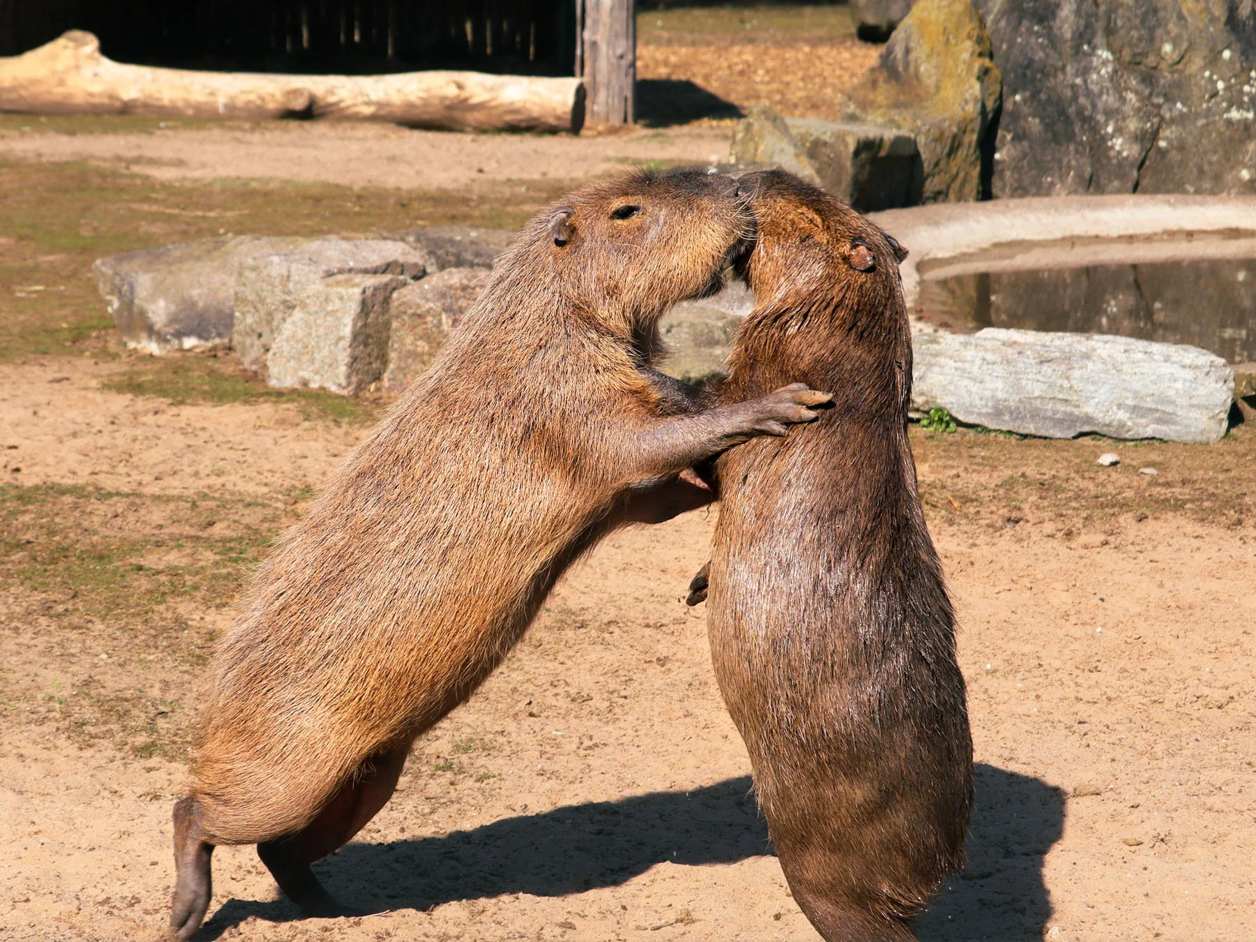 5B2DFA10-FA6C-45B1-A008-25B22923CFFC2021-04-19_15-34-57_270 (2024-09-25T19_08_13.481).jpg