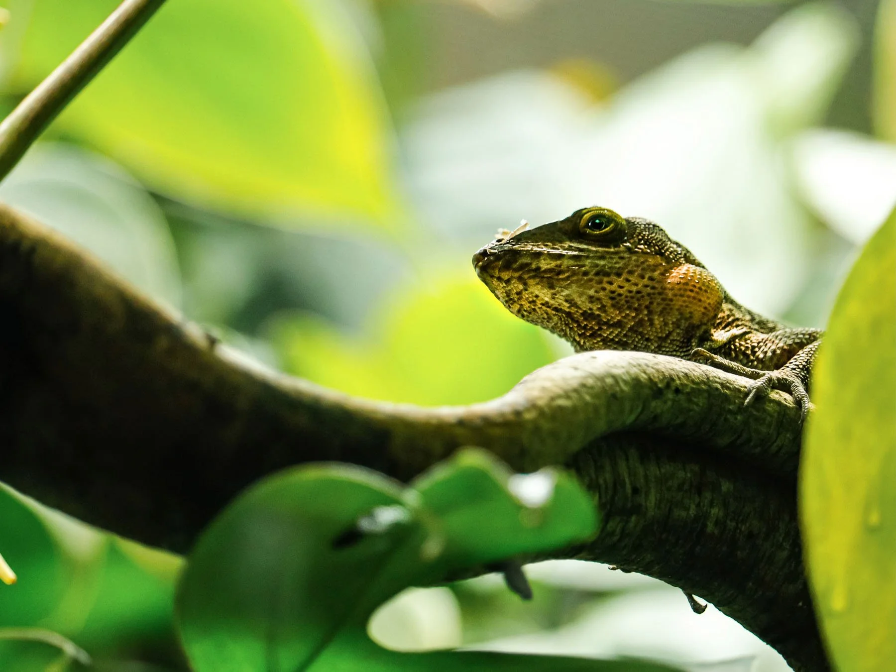 1FE273F1-6D81-4B2C-A244-9D0C2F8289FD2021-06-14_15-42-32_280 (2024-09-25T18_48_01.563).jpg