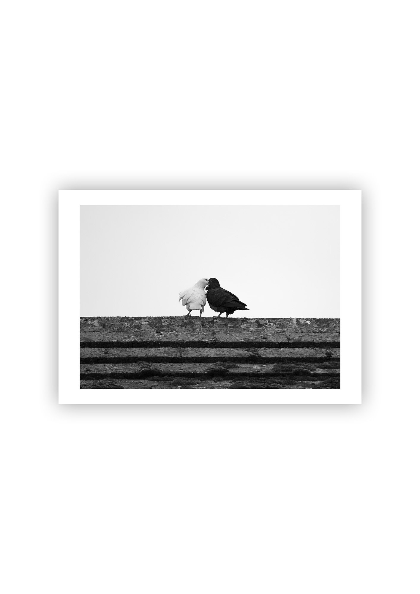 Ying and Yang - Print.jpg