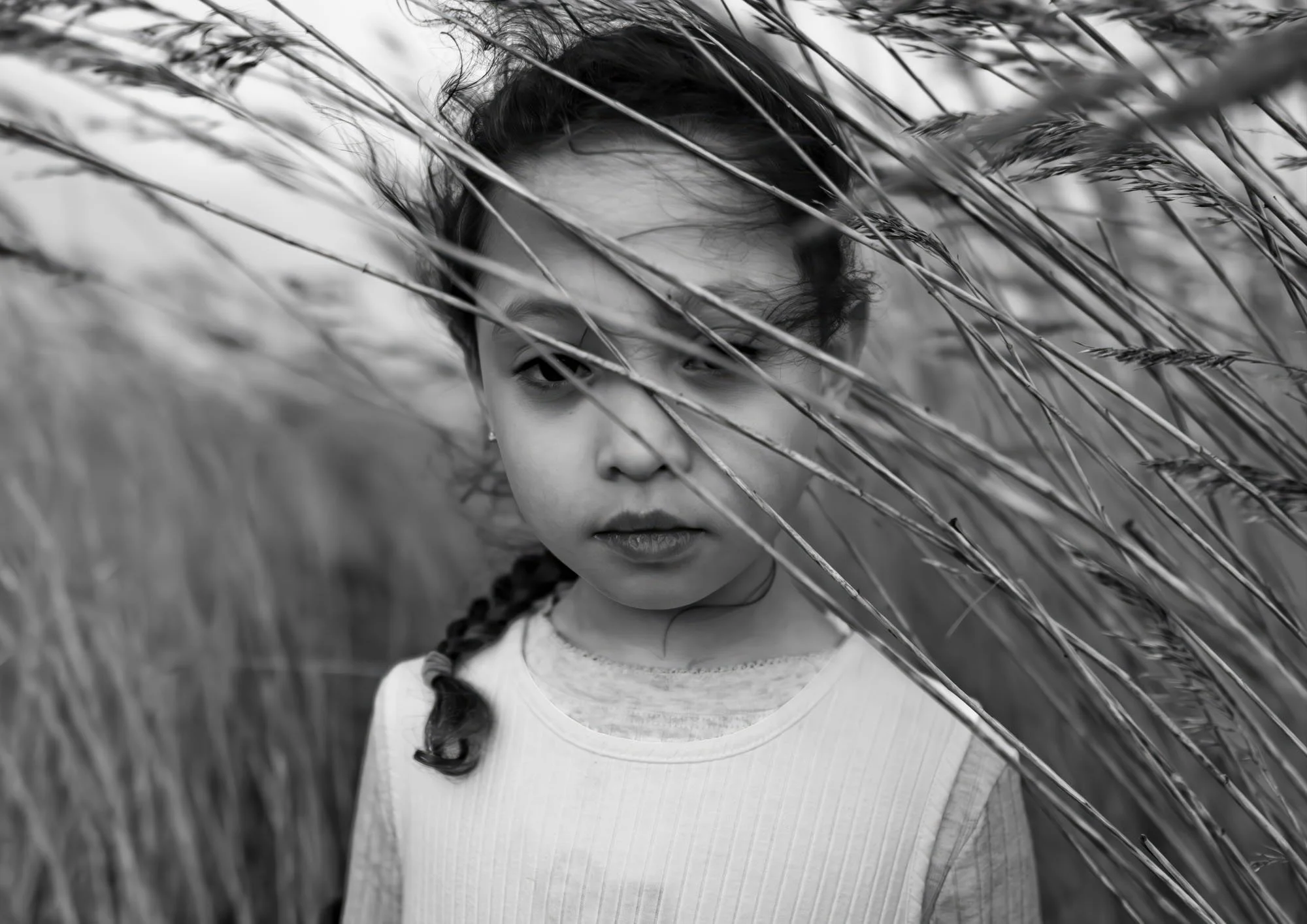 In The Reeds