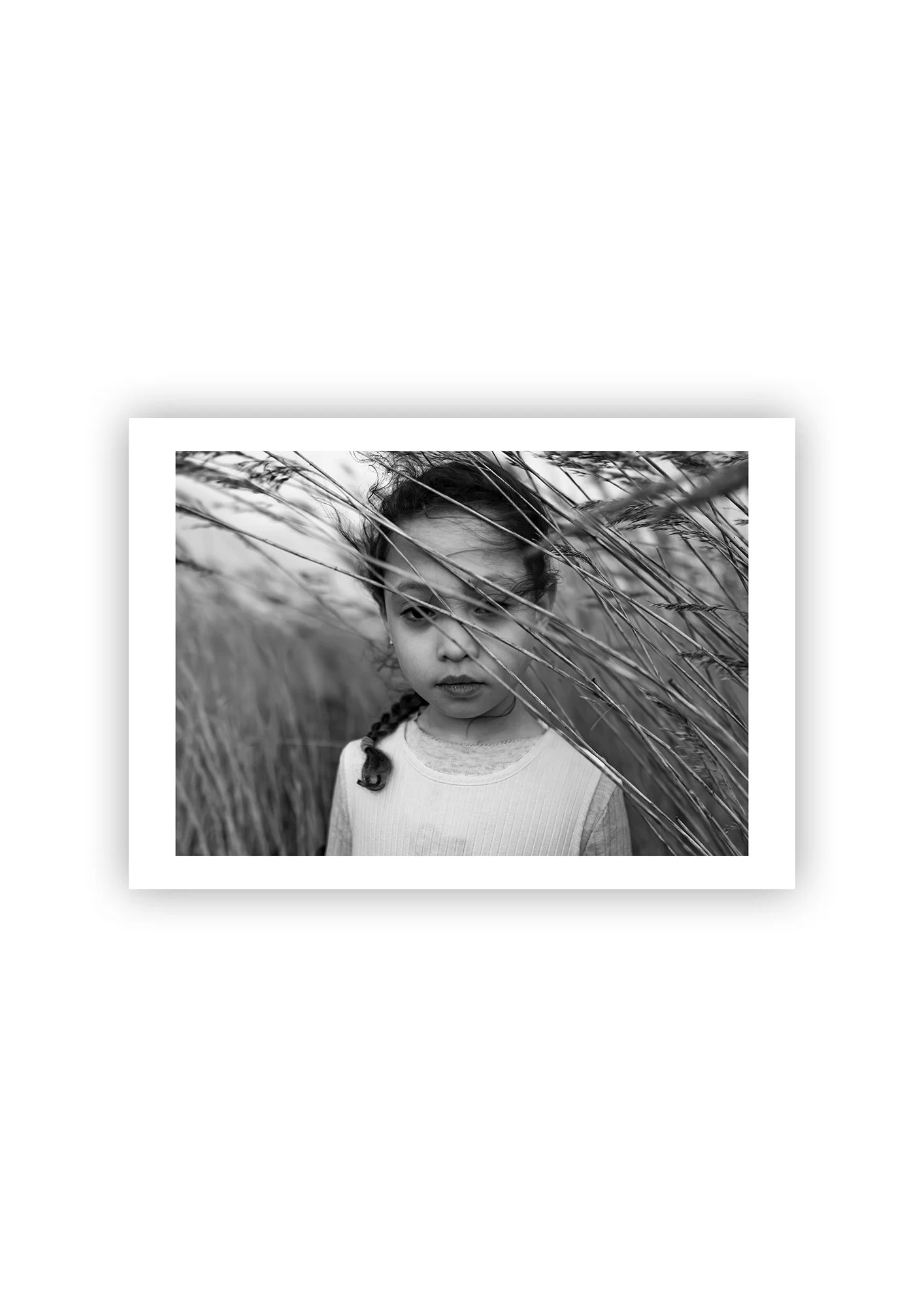 In The Reeds - Print.jpg