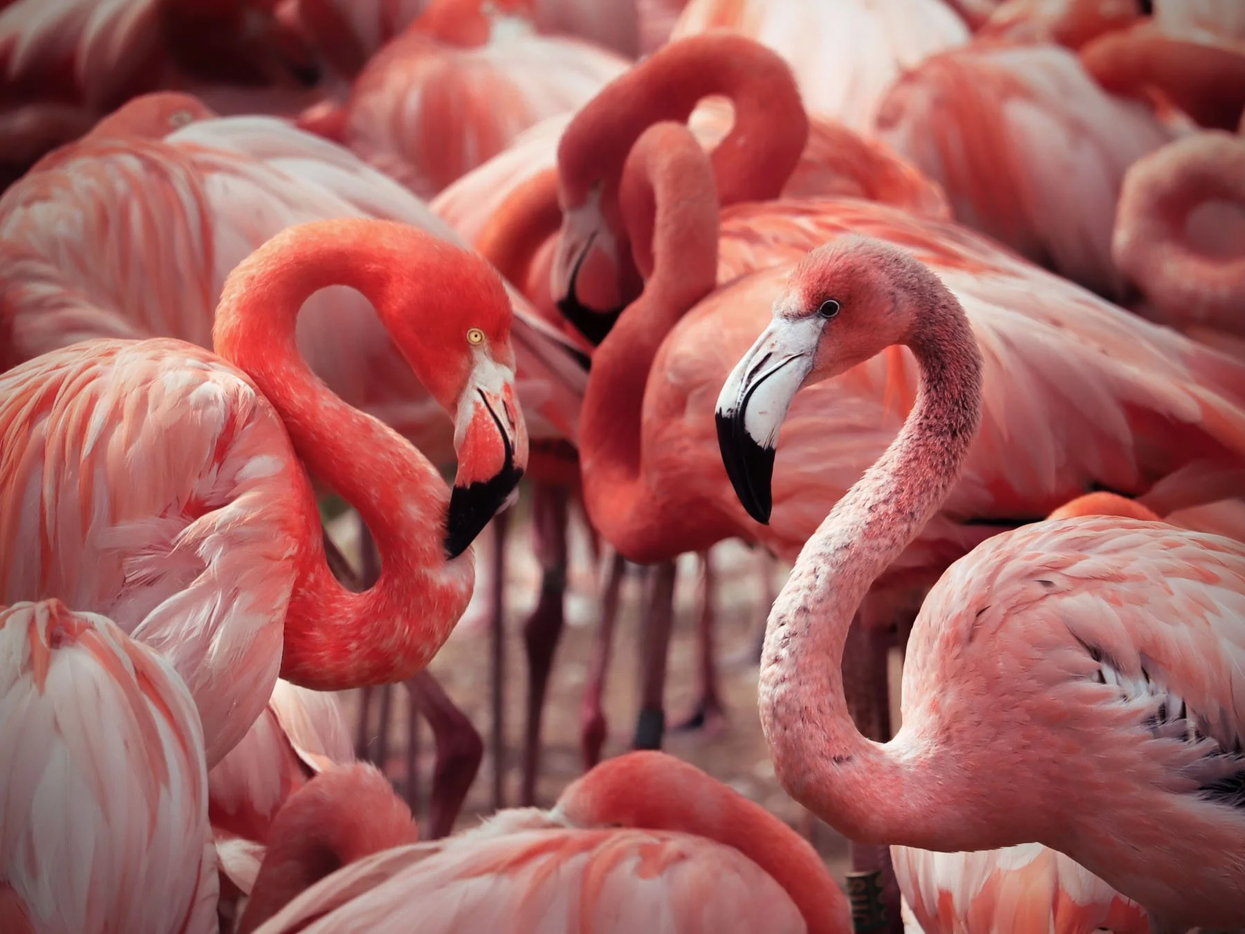 F8E0CEF8-A38E-4A60-9F49-ED47A3F6C3CC2021-06-14_14-33-53_900 (2024-09-25T18_49_07.561).jpg