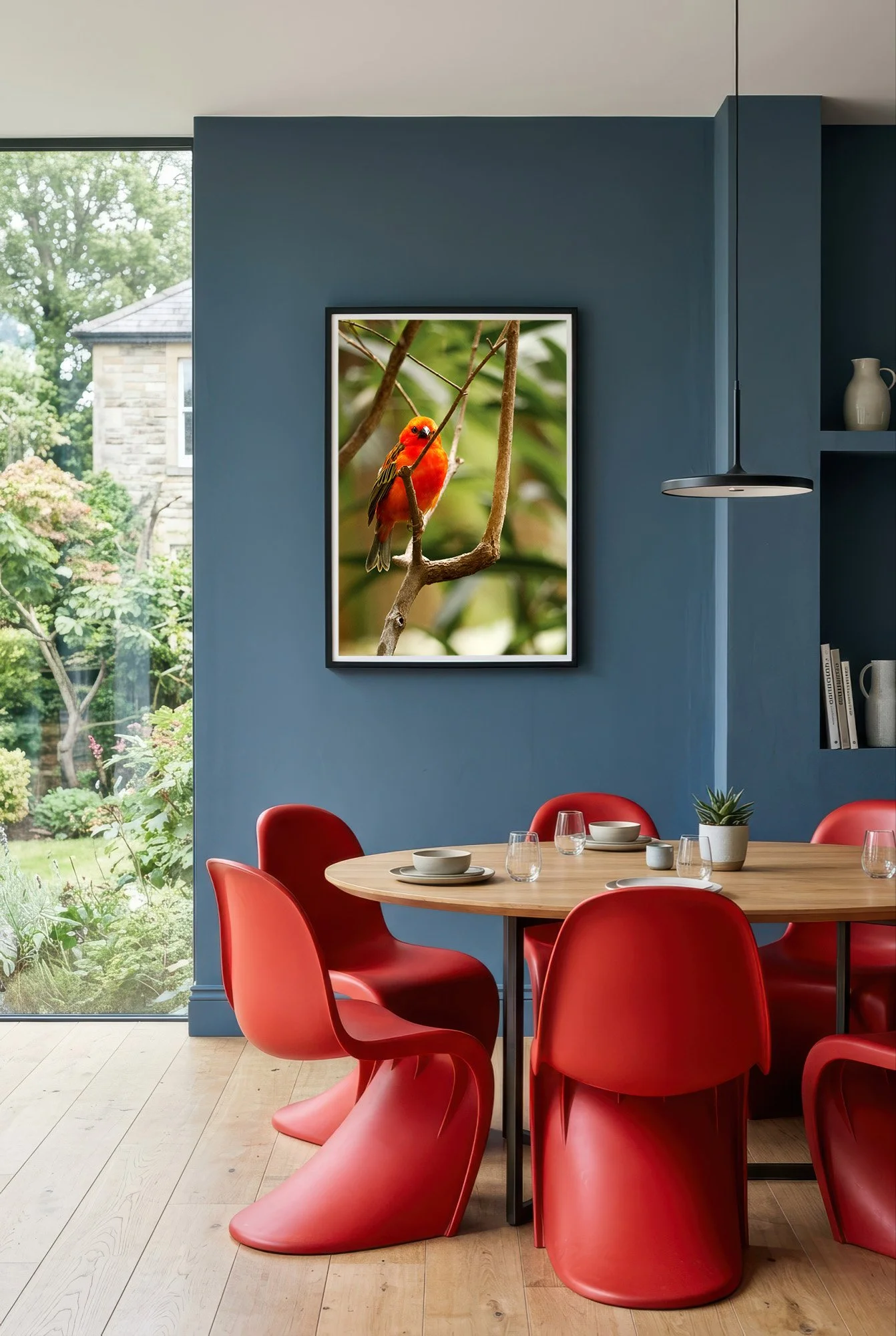 Red Fody - Room.jpg