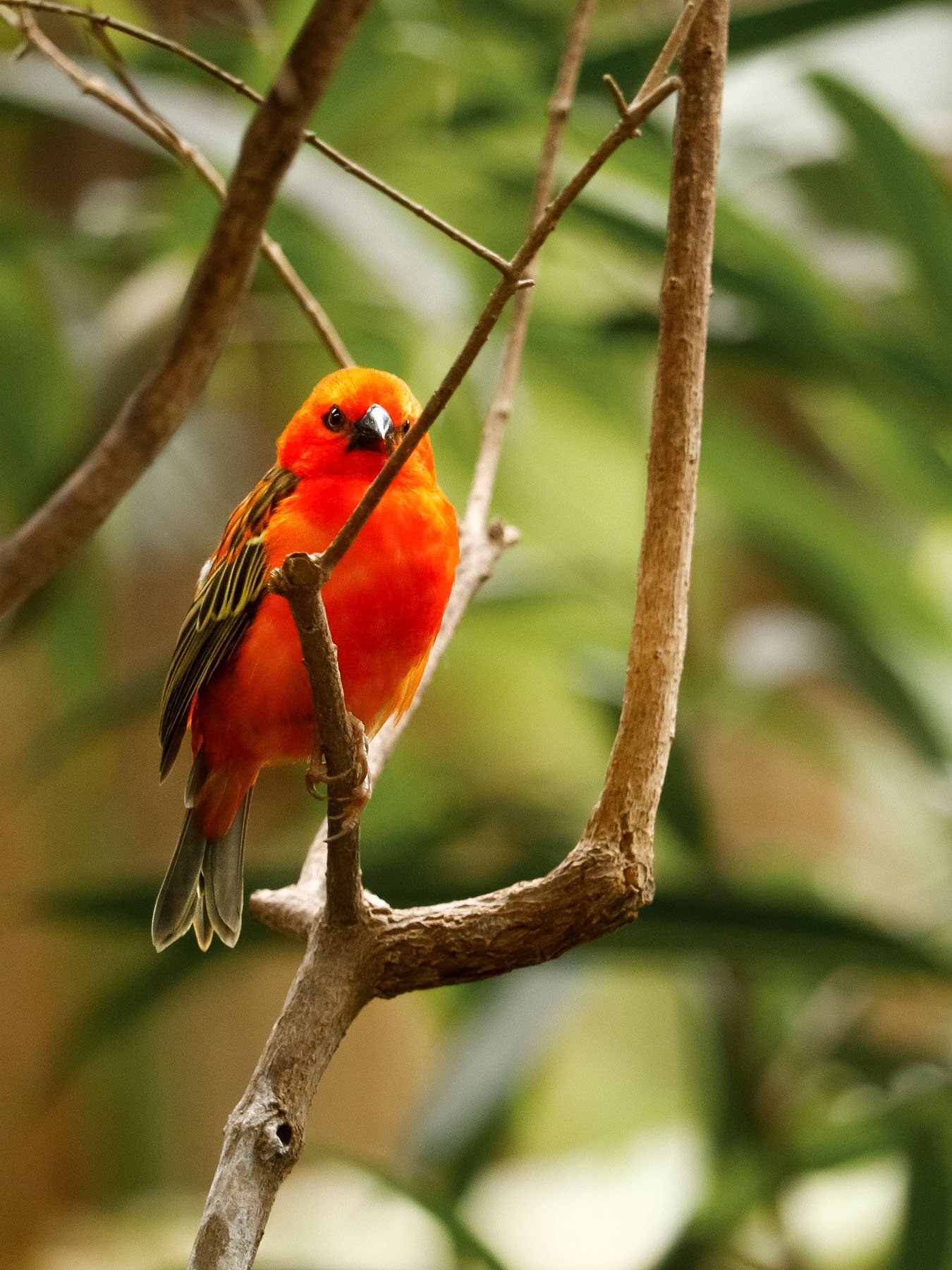 A3C493DA-E540-4DE7-9A5D-67F0D025ED682021-06-14_15-37-53_480 (2024-09-25T18_48_10.543).jpg