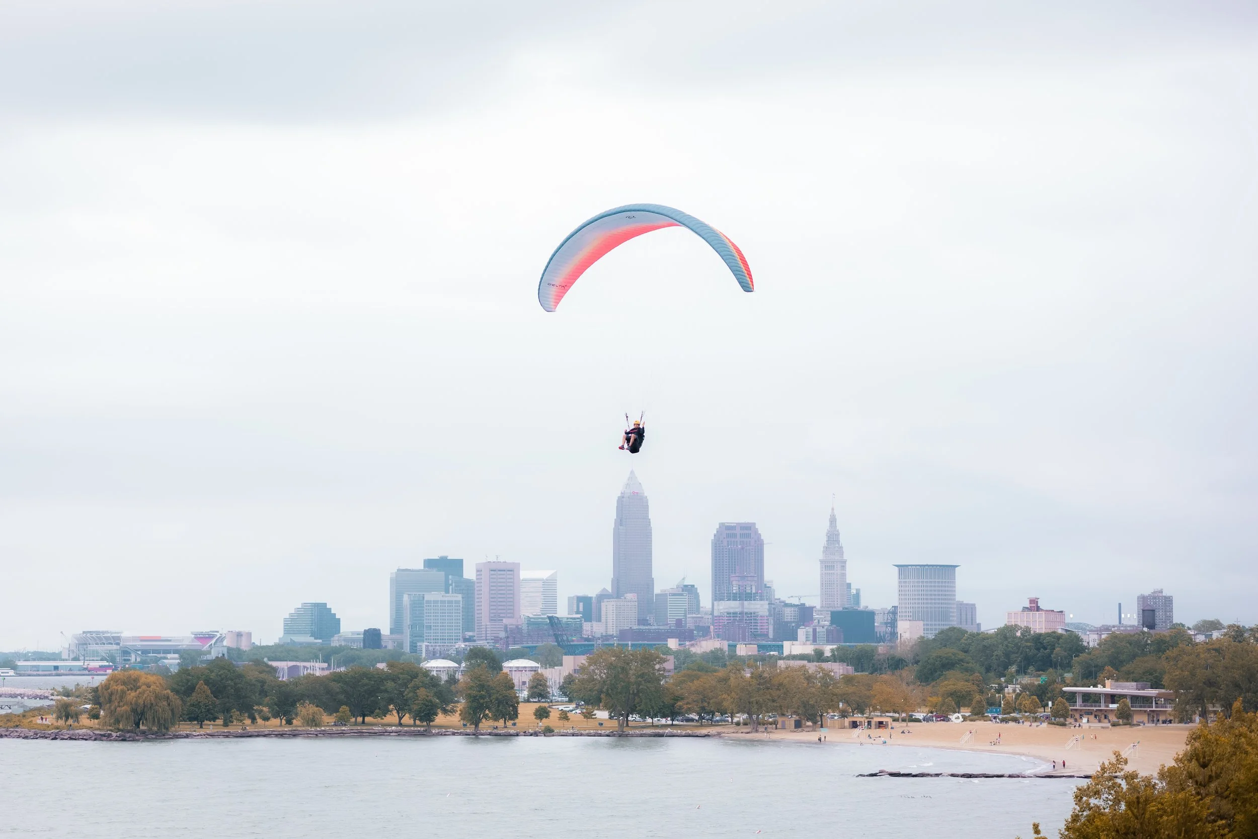 Take Flight at Edgewater