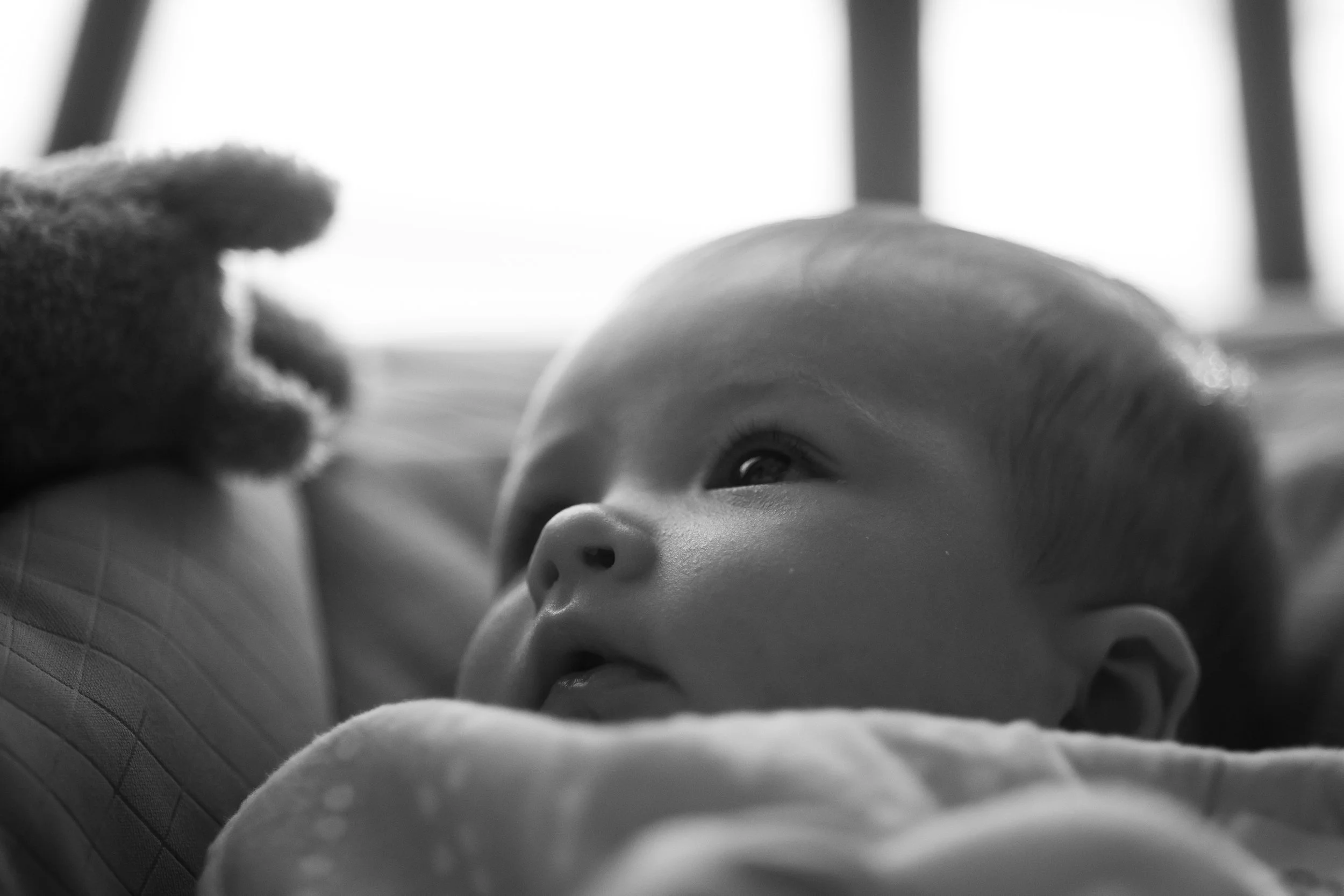 865A8730.JPG