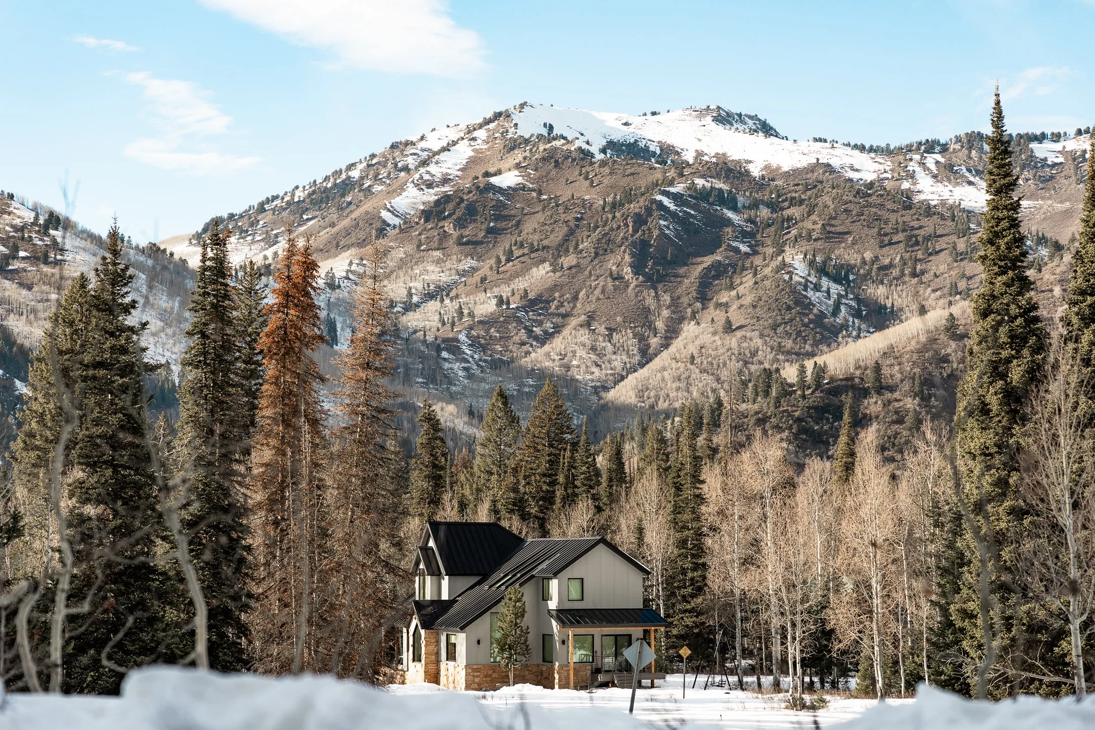 Salt Lake City- Big Cotton Wood Canyon Trail 
