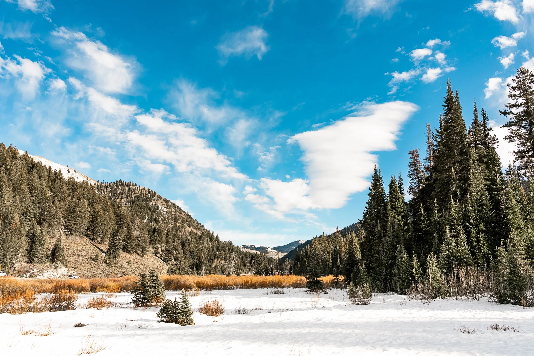 Salt Lake City- Big Cotton Wood Canyon 