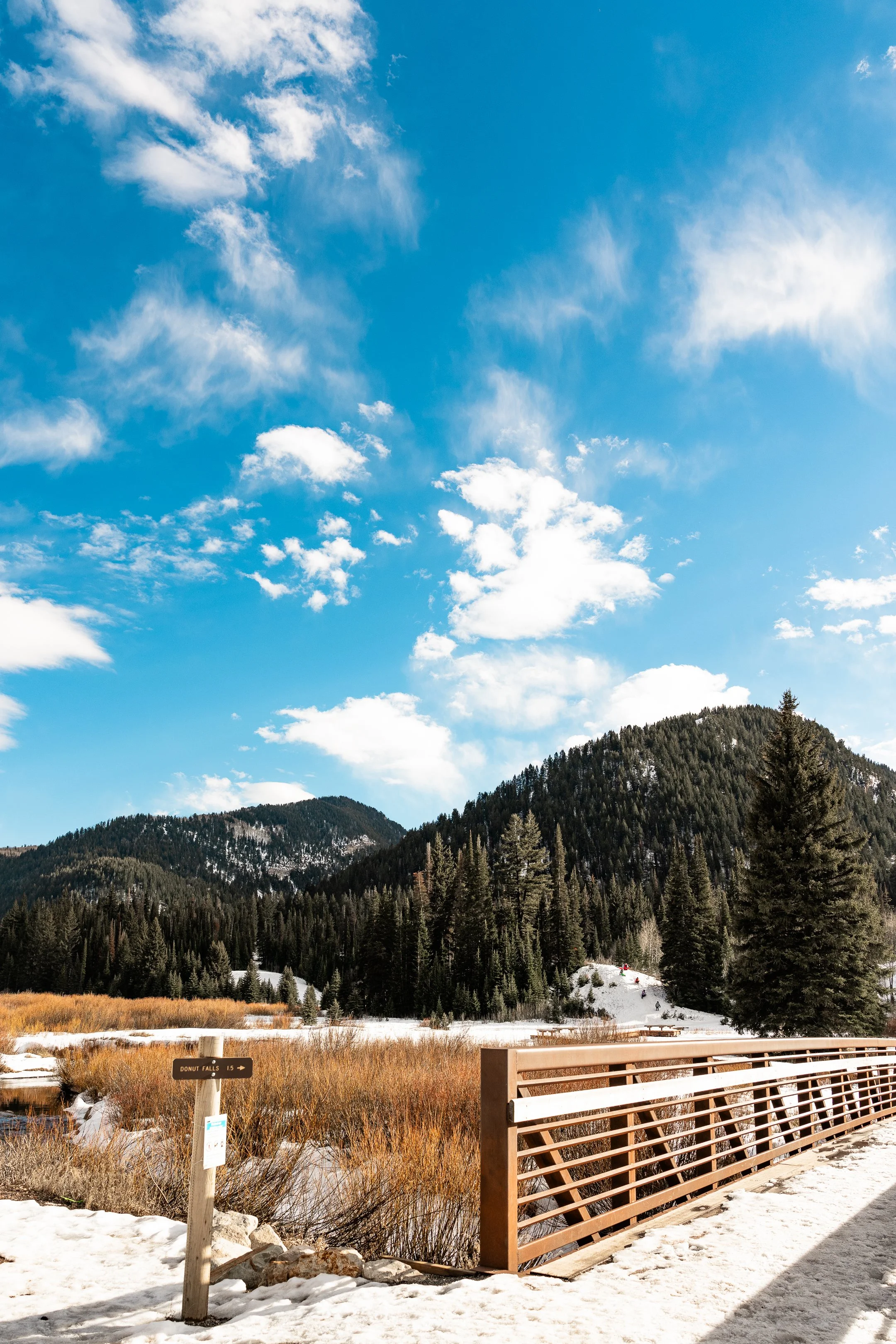 Salt Lake City- Big Cotton Wood Canyon 