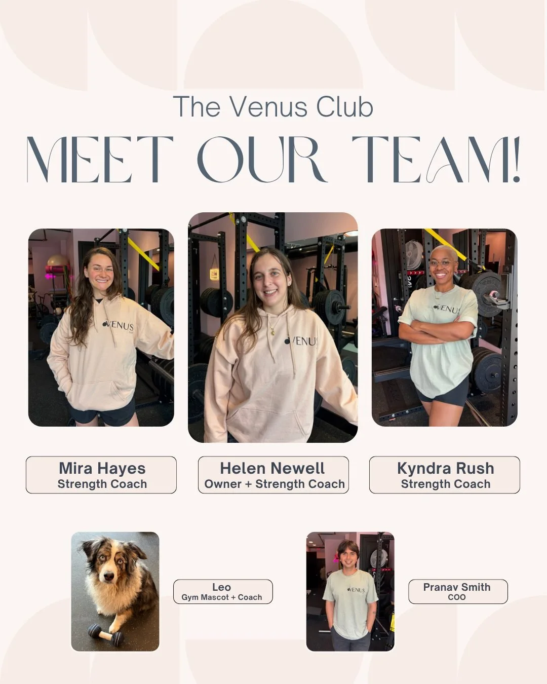 Introducing The Venus Club Team! We are so excited to welcome you into the space and share our love of movement with you! 💖

Book a consultation or a free week of classes with the links in our bio! 💪