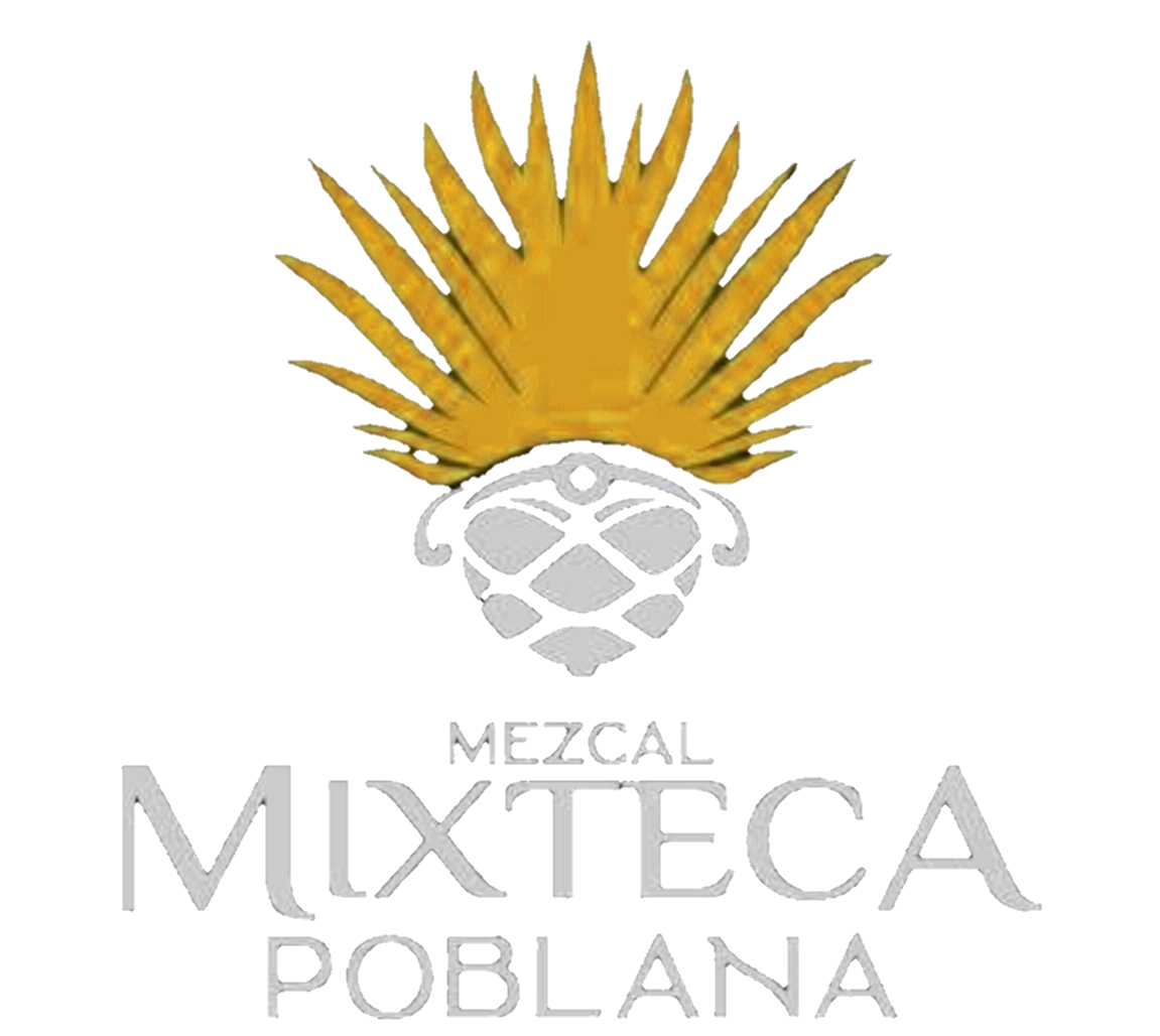 MIZTECA POBLANA