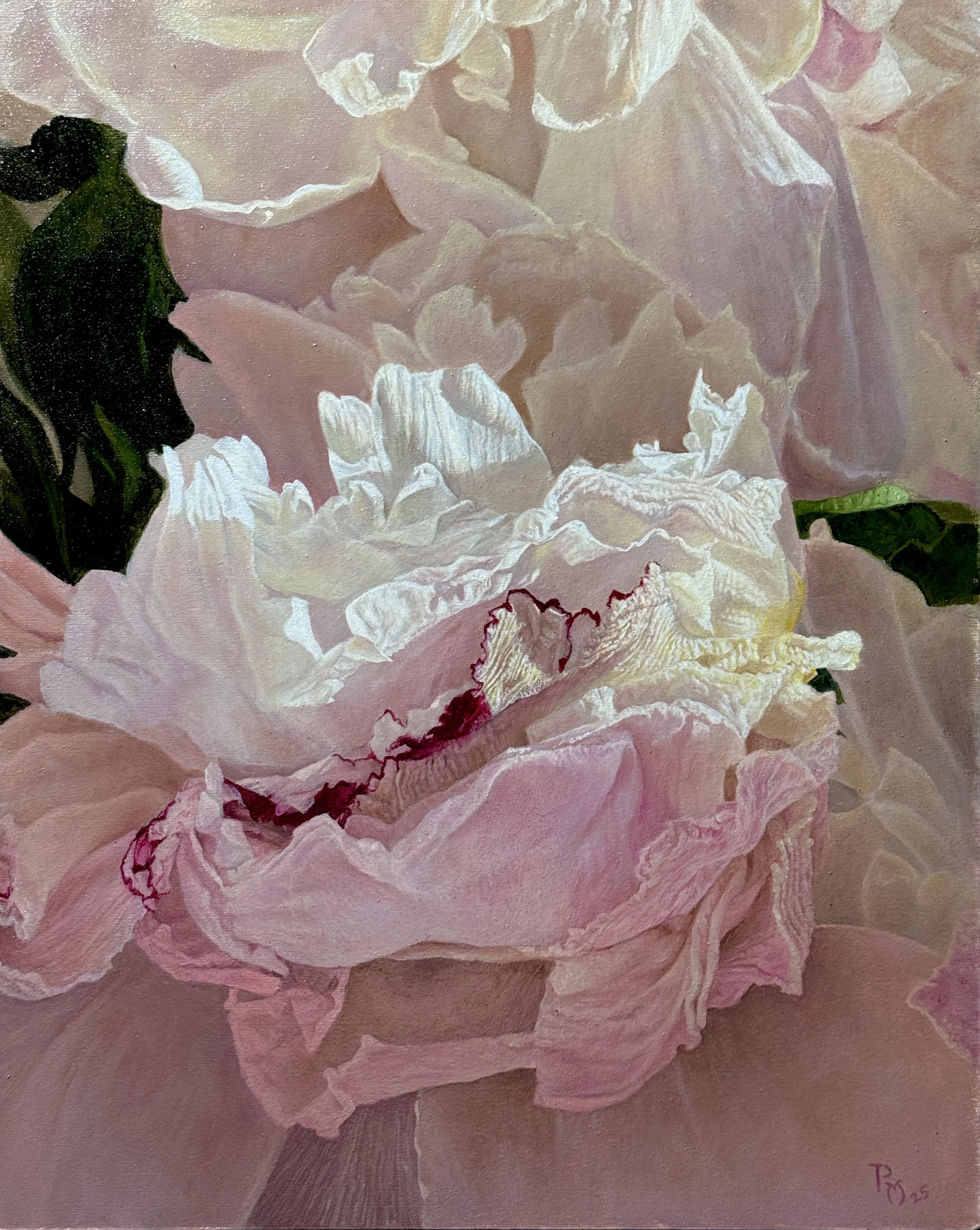 Peony