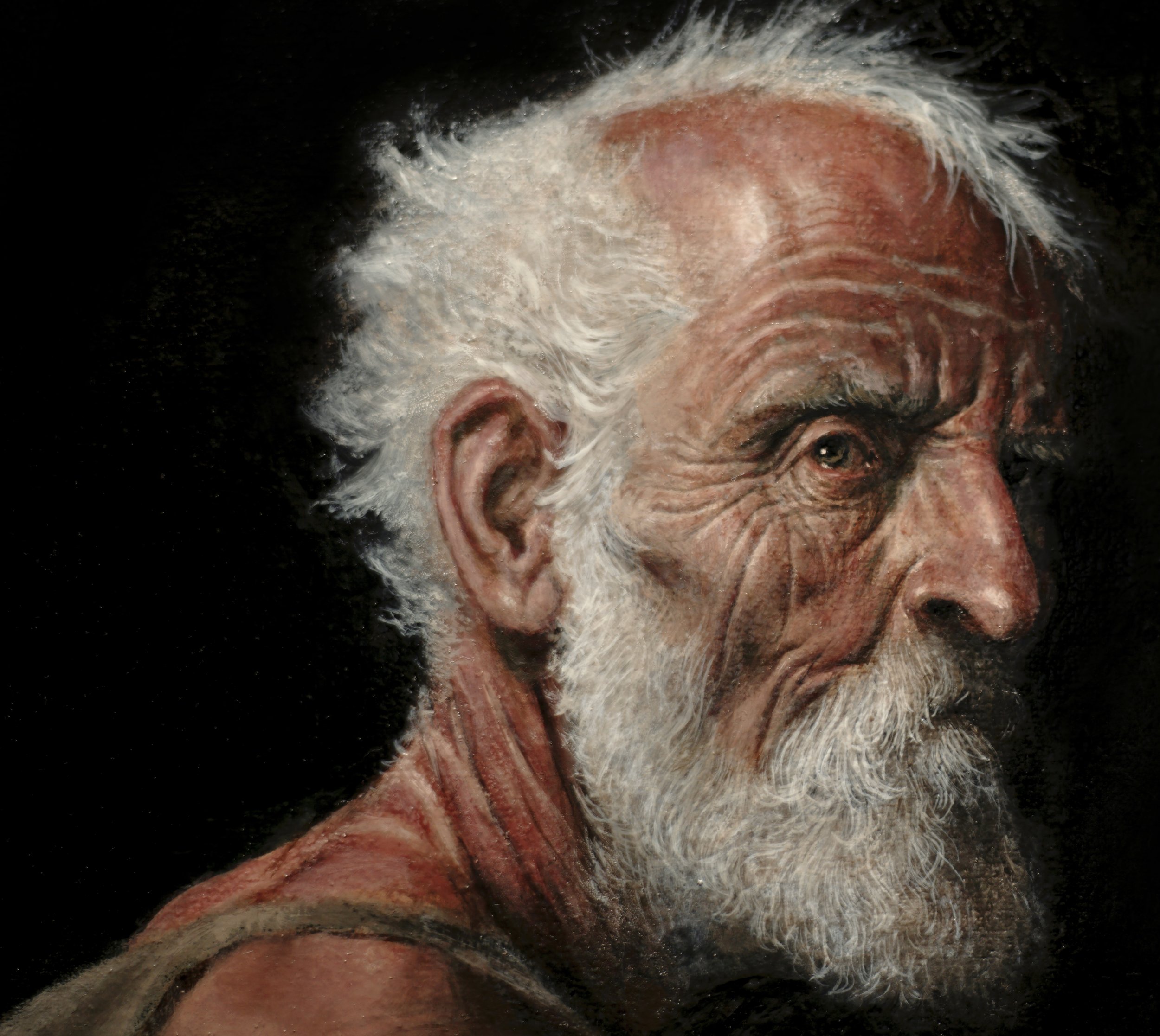 rawhermit_11272025 (1).JPG