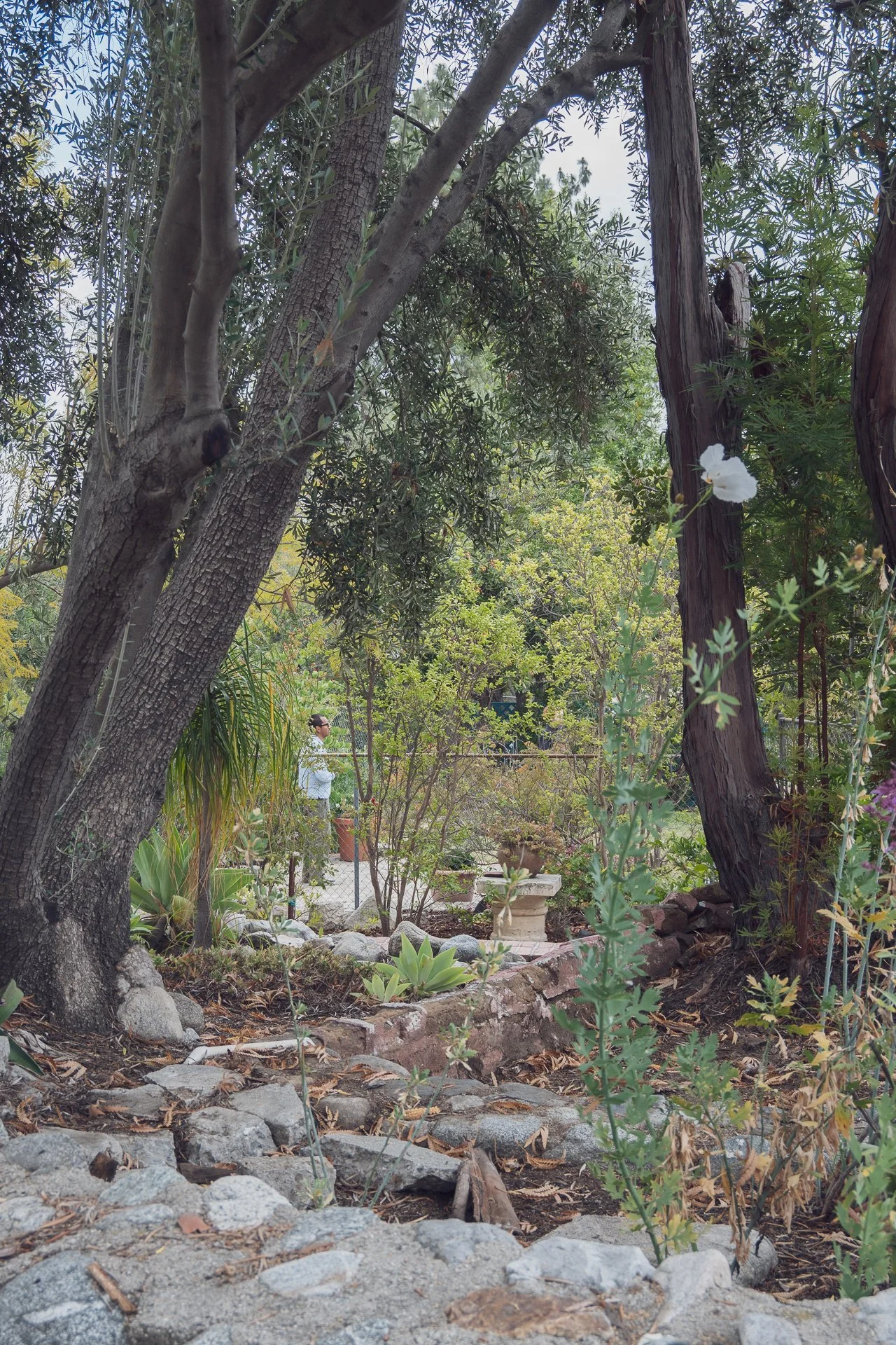 DSC_05042300 El Moreno Street La Crescenta CA 91214.jpg