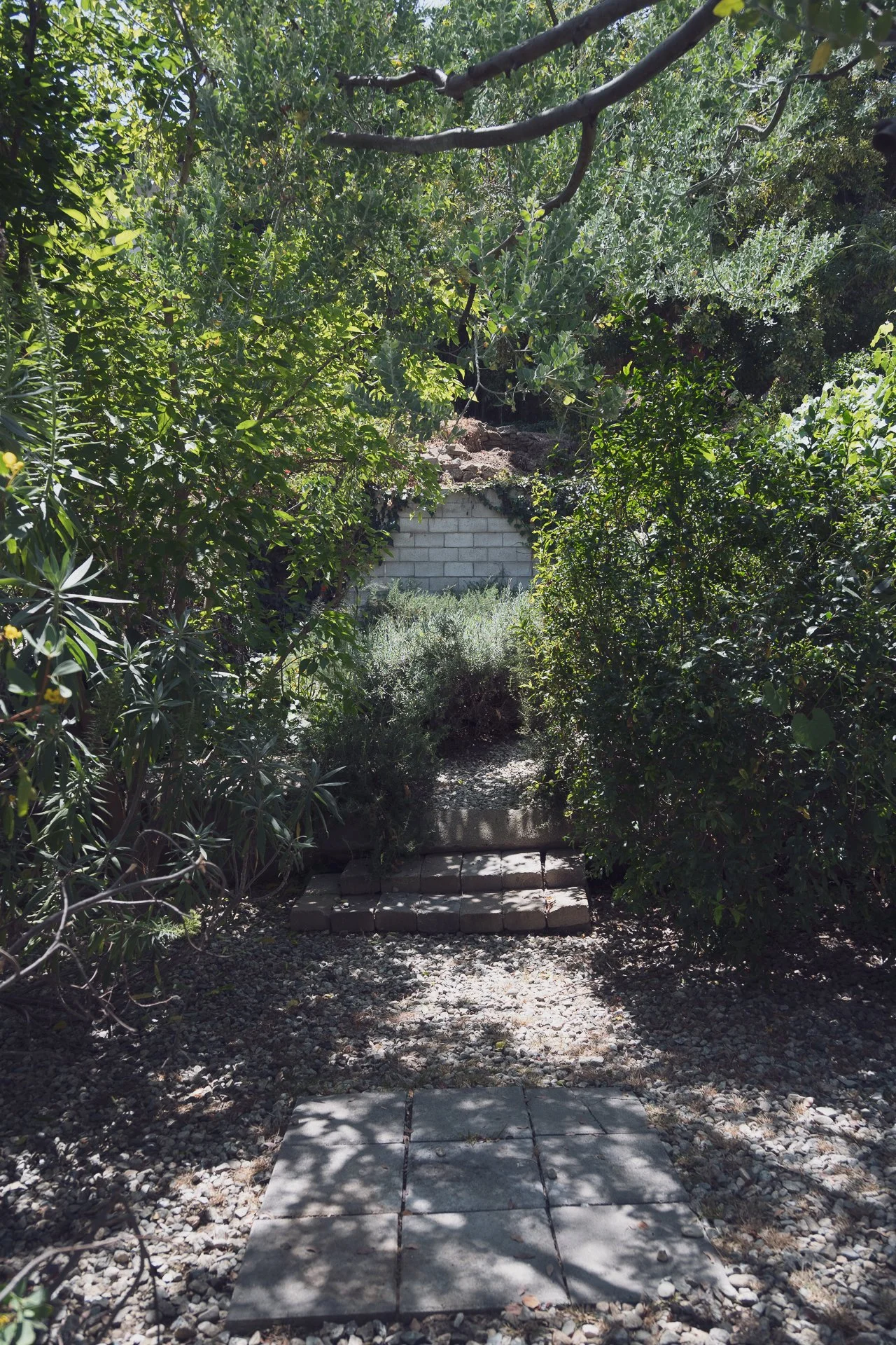 DSC_0655457 museum drive los angeles ca 90065.jpg