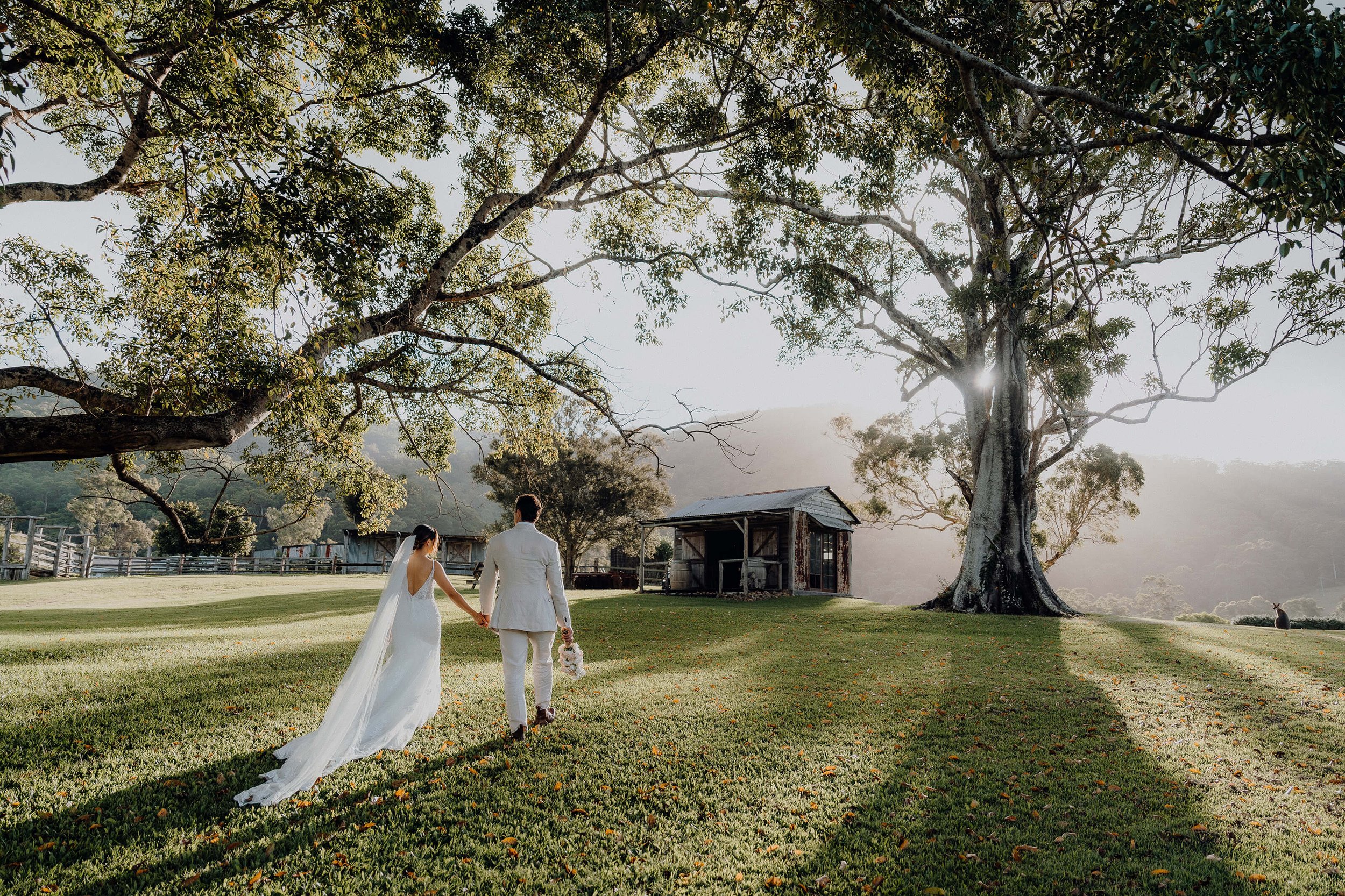 A bride and groom walking hand in hand on a grassy field with large trees and a small wooden shed, during sunset or sunrise.
