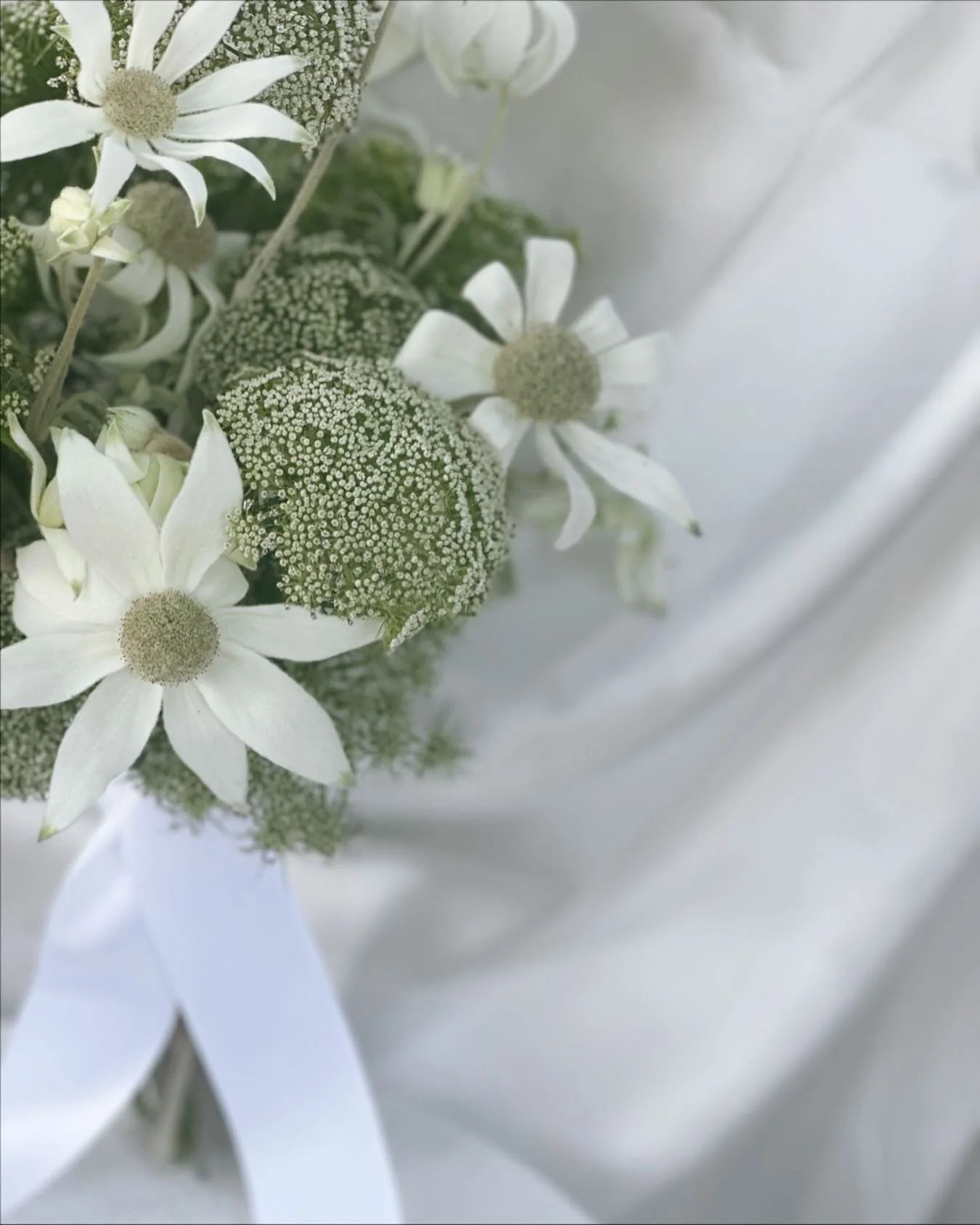 I know I shouldn’t play favourites but just here waiting patiently for my fave flowers to come back in, the dainty whimsical flannel flower 🦢
Tell me what your favourite flower is?
~~~~~~~~~~~
#melbourneweddings #melbourneweddingflorist #me