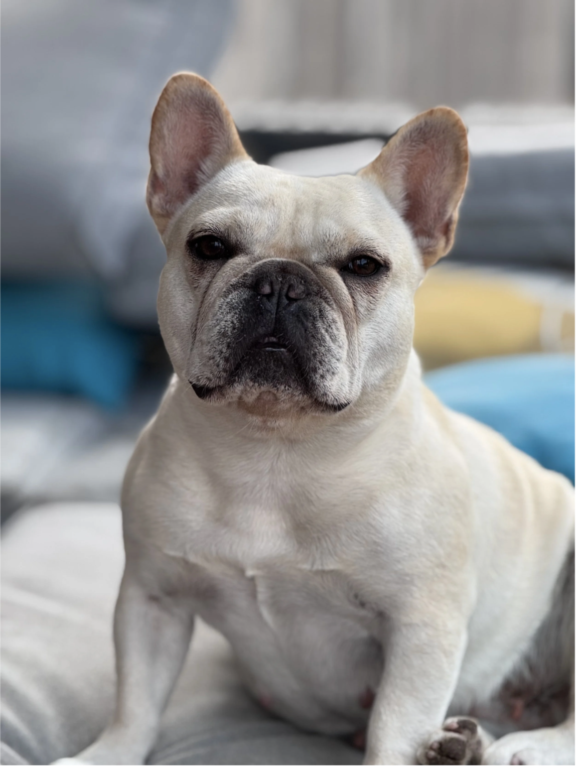 Winnie