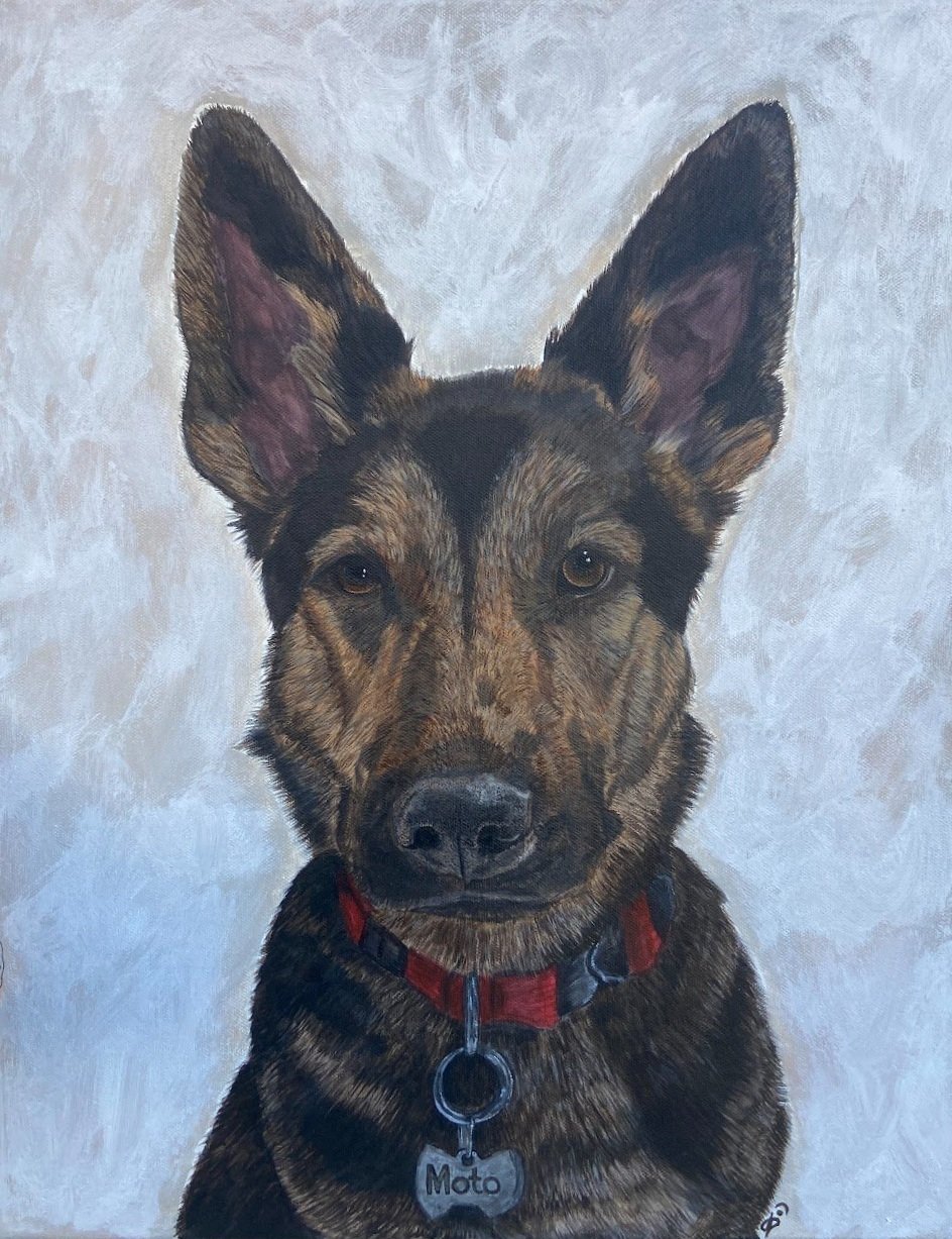 Painting of a German Shepherd dog with large ears, wearing a red collar with a silver tag labeled "Moto" against a textured light background.