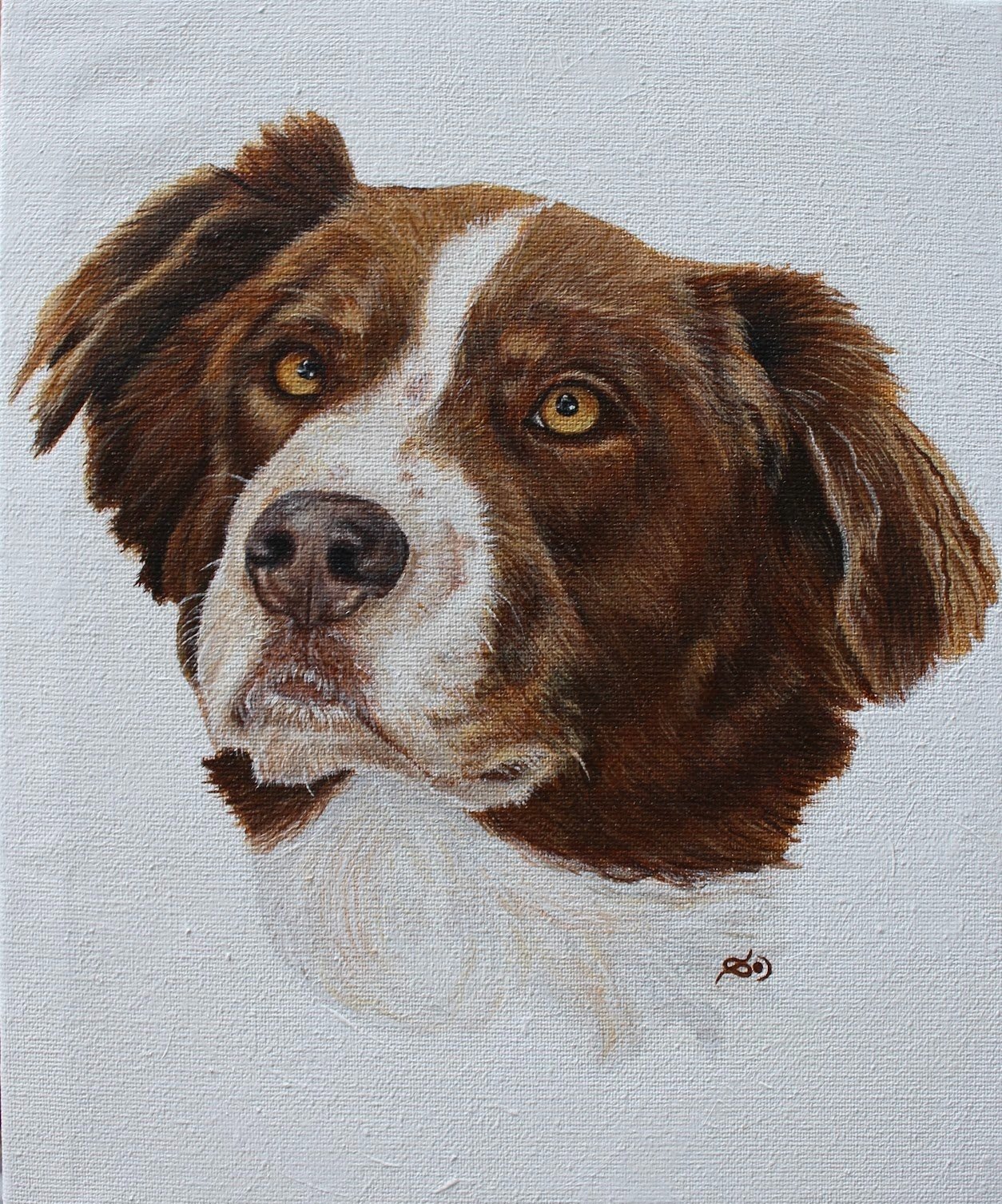 Portrait of a brown and white Australian Shepherd dog with striking golden eyes, painted in a realistic style on a white canvas.