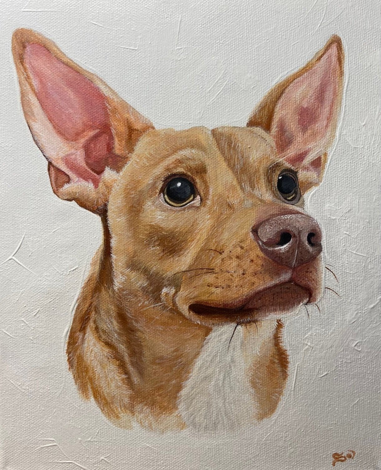 A realistic painting of a small brown dog with large upright ears and dark eyes, looking slightly upwards, on a plain light background.