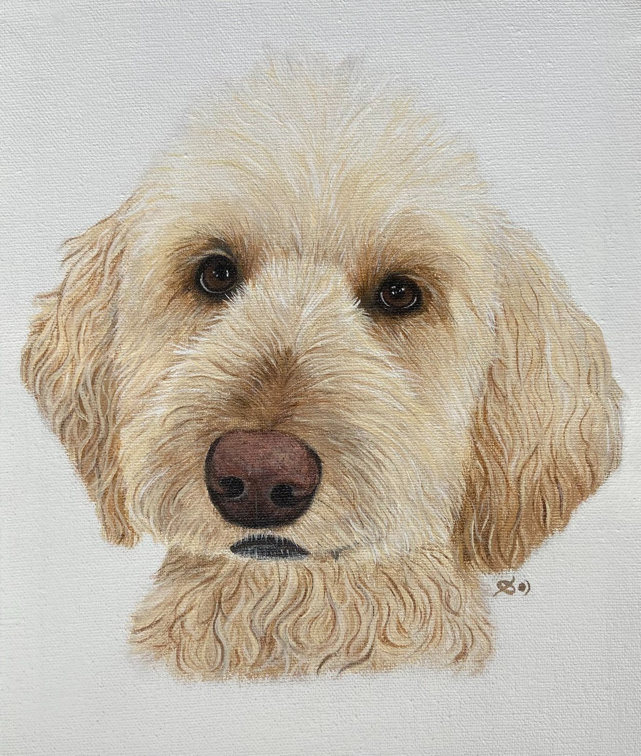 Painting of a fluffy, golden-colored dog with dark eyes and a brown nose on a white background.
