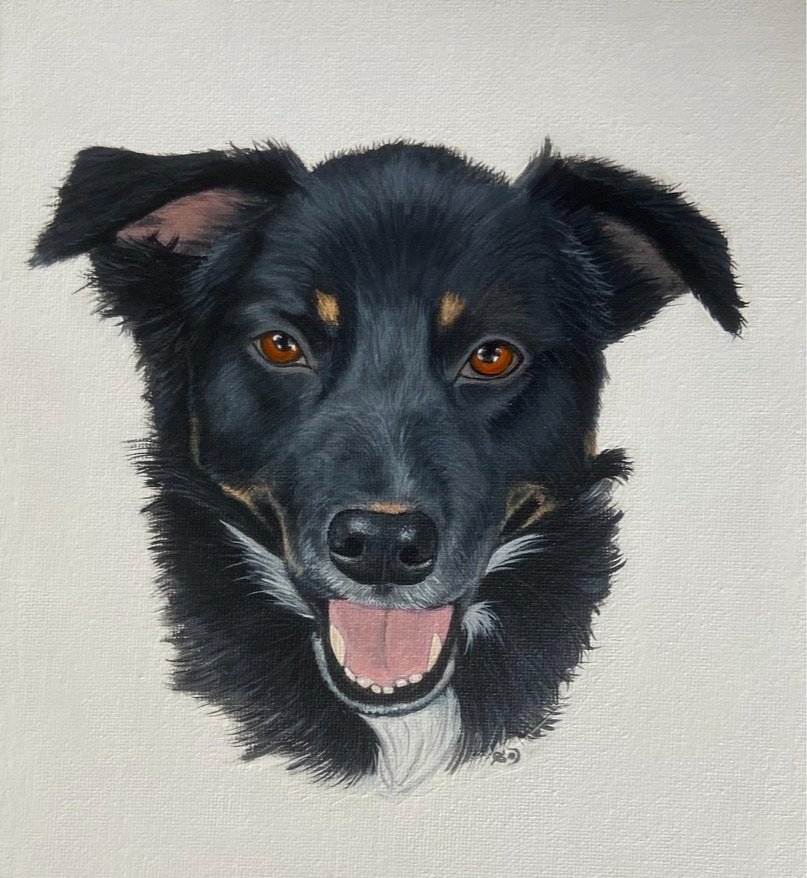 Painting of a happy black dog with brown eyes, pointy ears, and a white patch on its chest, facing forward.