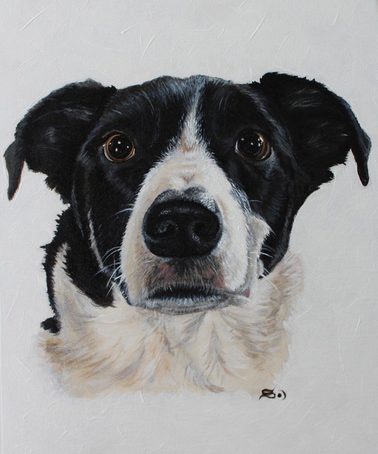 A realistic painting of a black and white dog with expressive eyes, facing forward.