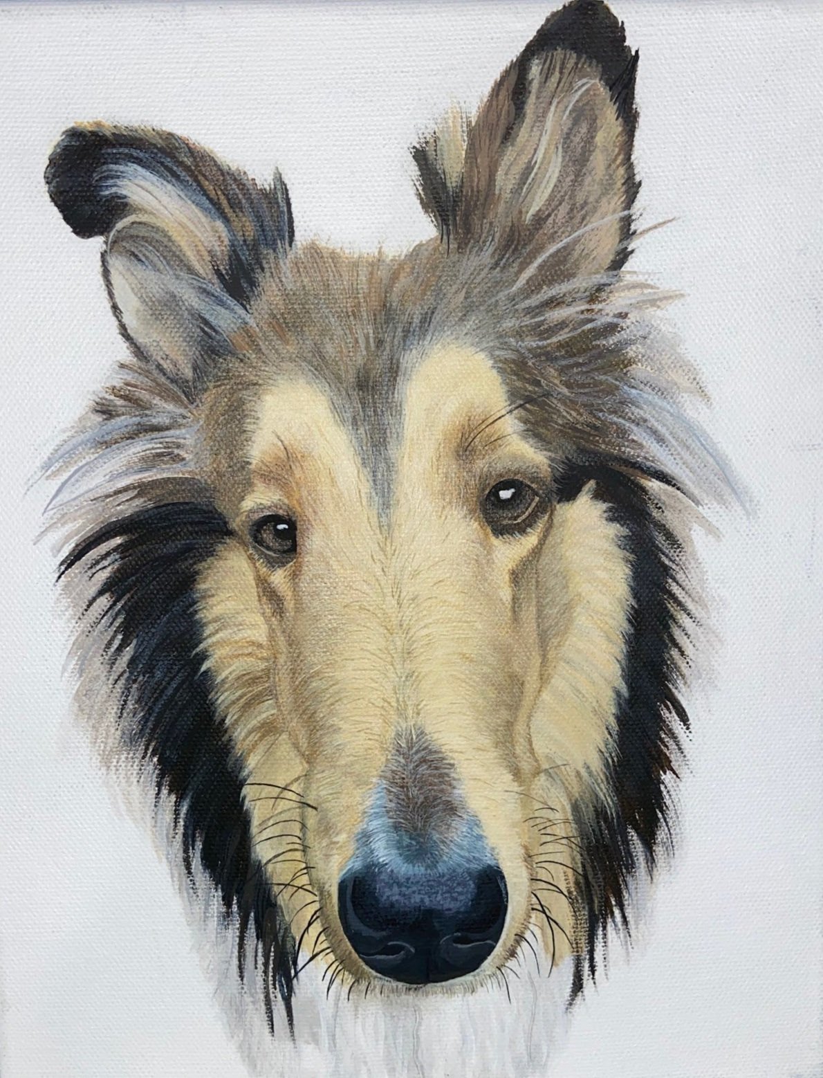 A detailed painting of a dog's face, possibly a Border Collie or Australian Shepherd, with a black nose, expressive eyes, and a multicolored fluffy coat with shades of brown, cream, black, and gray.