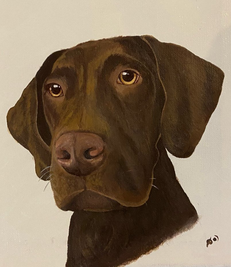 Painting of a brown Labrador Retriever's face with expressive eyes on a white background.