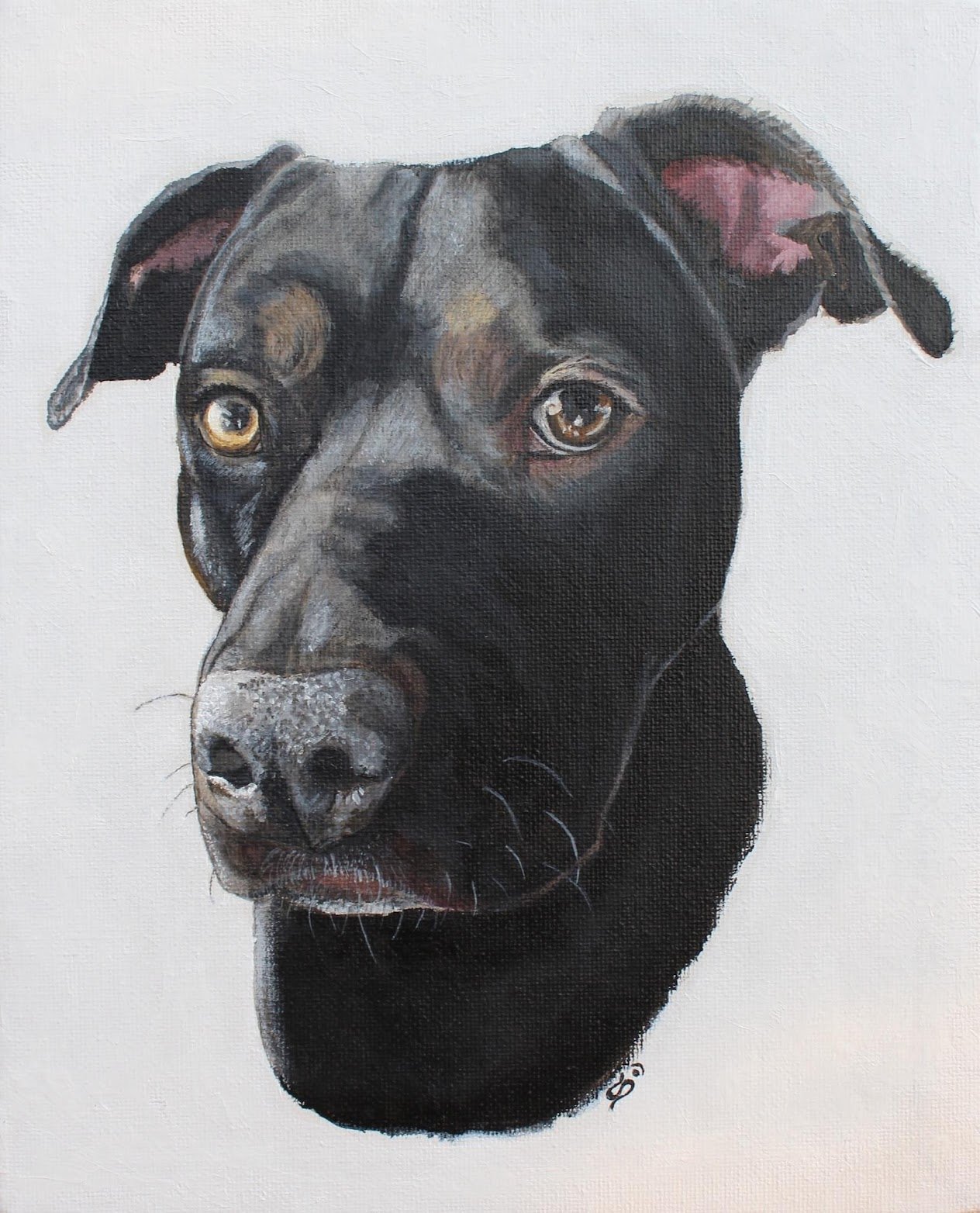 A realistic painting of a black dog with heterochromia, one eye brown and the other blue, against a plain white background.