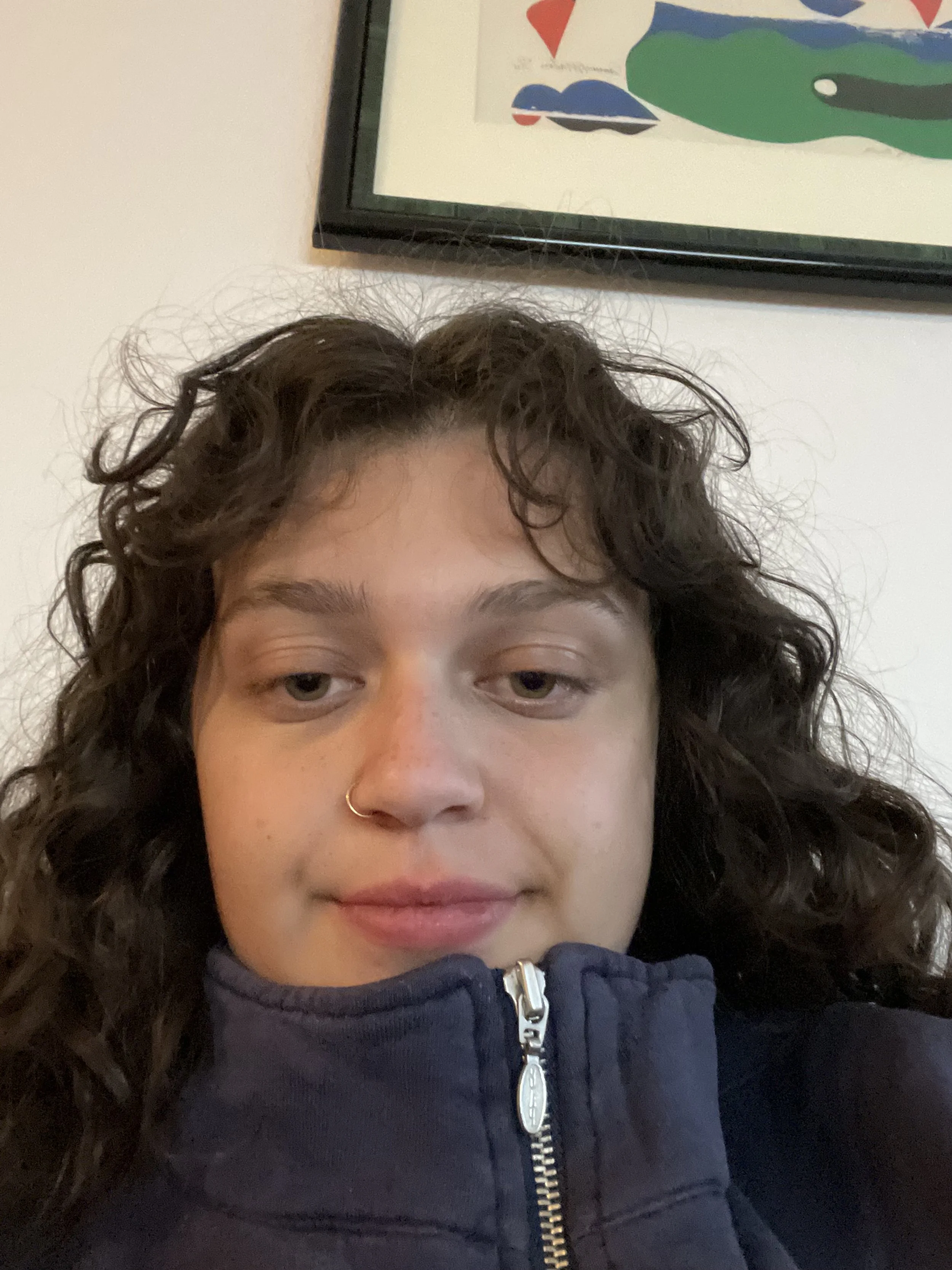 A person with curly brown hair and a nose ring wearing a dark zip-up sweatshirt, taking a selfie indoors with a framed artwork on the wall behind them.