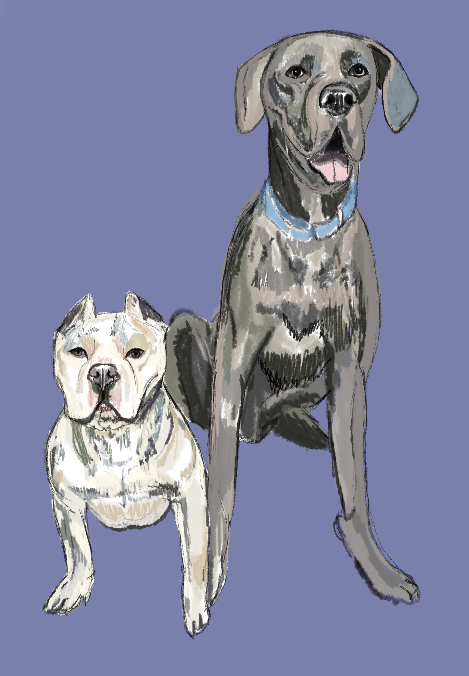 Untitled_Artwork 23.png