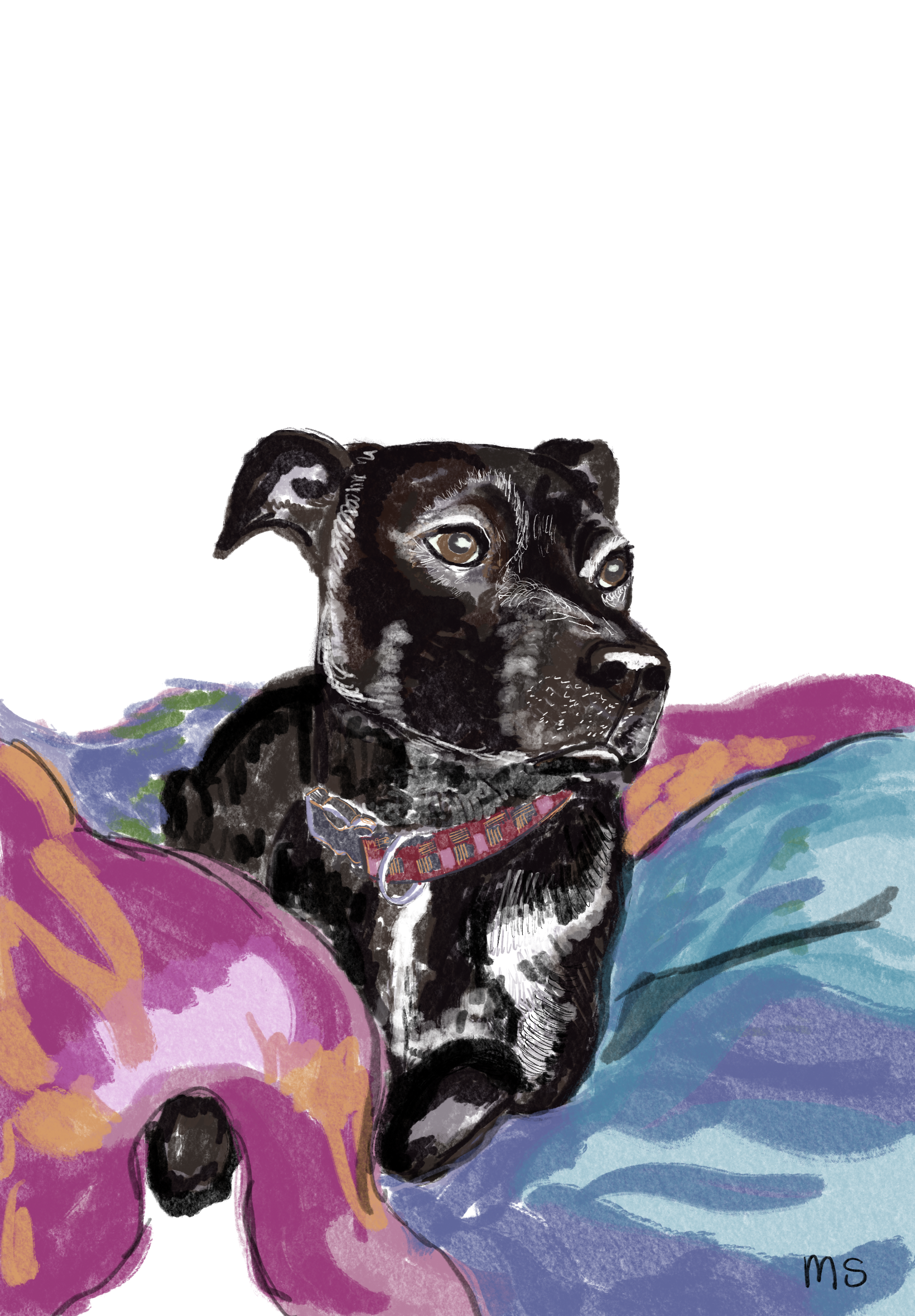 Untitled_Artwork 27.png