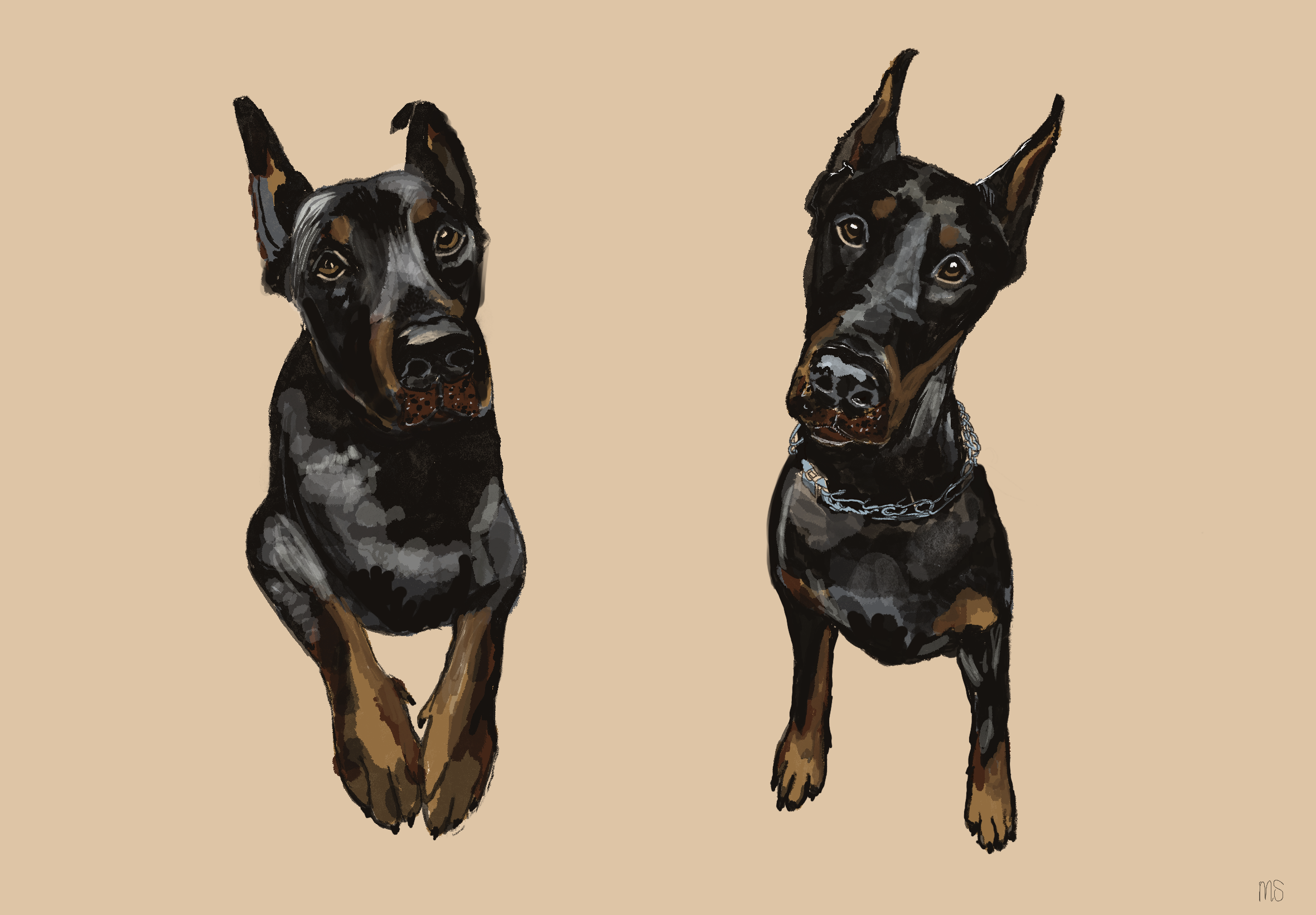 Untitled_Artwork 25.png