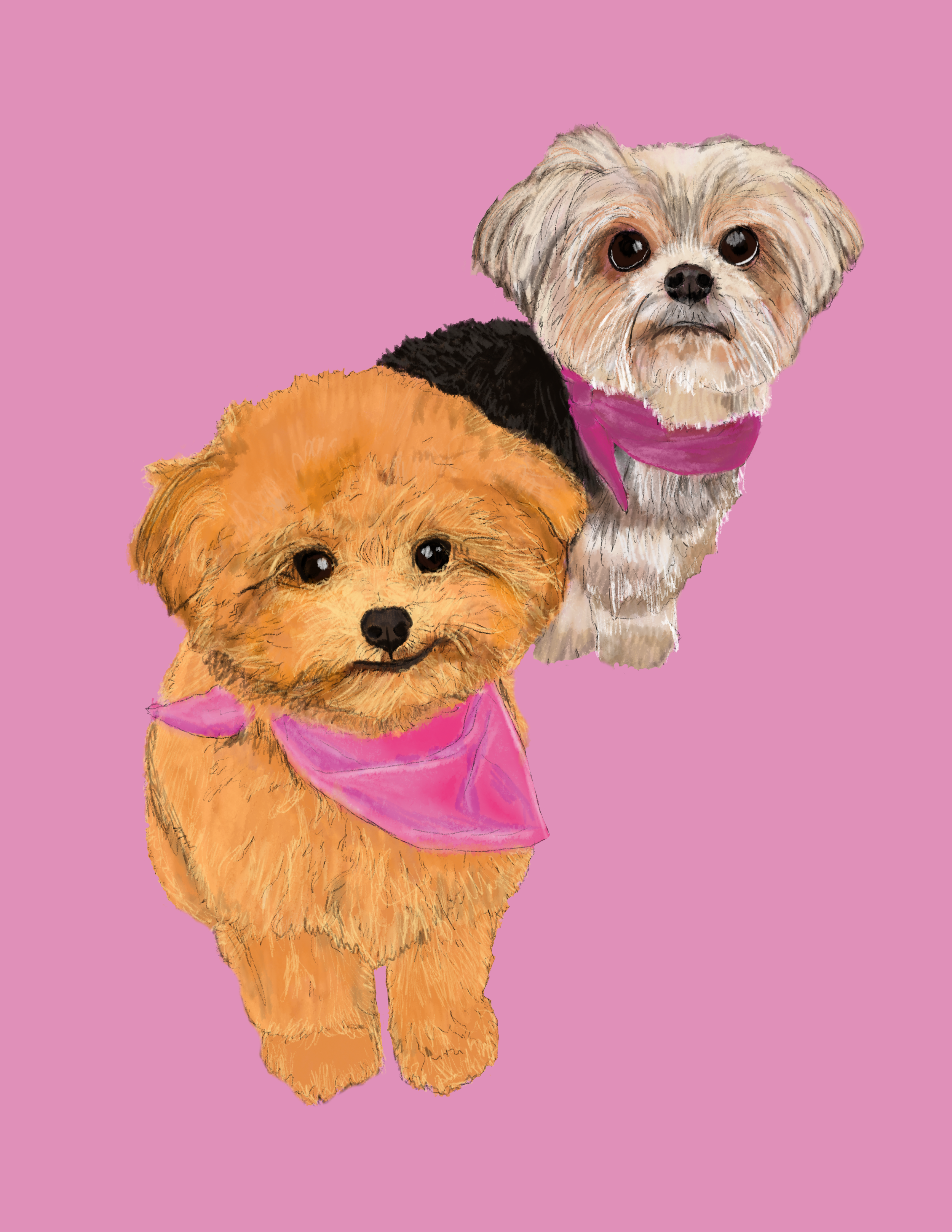 Untitled_Artwork 12.png