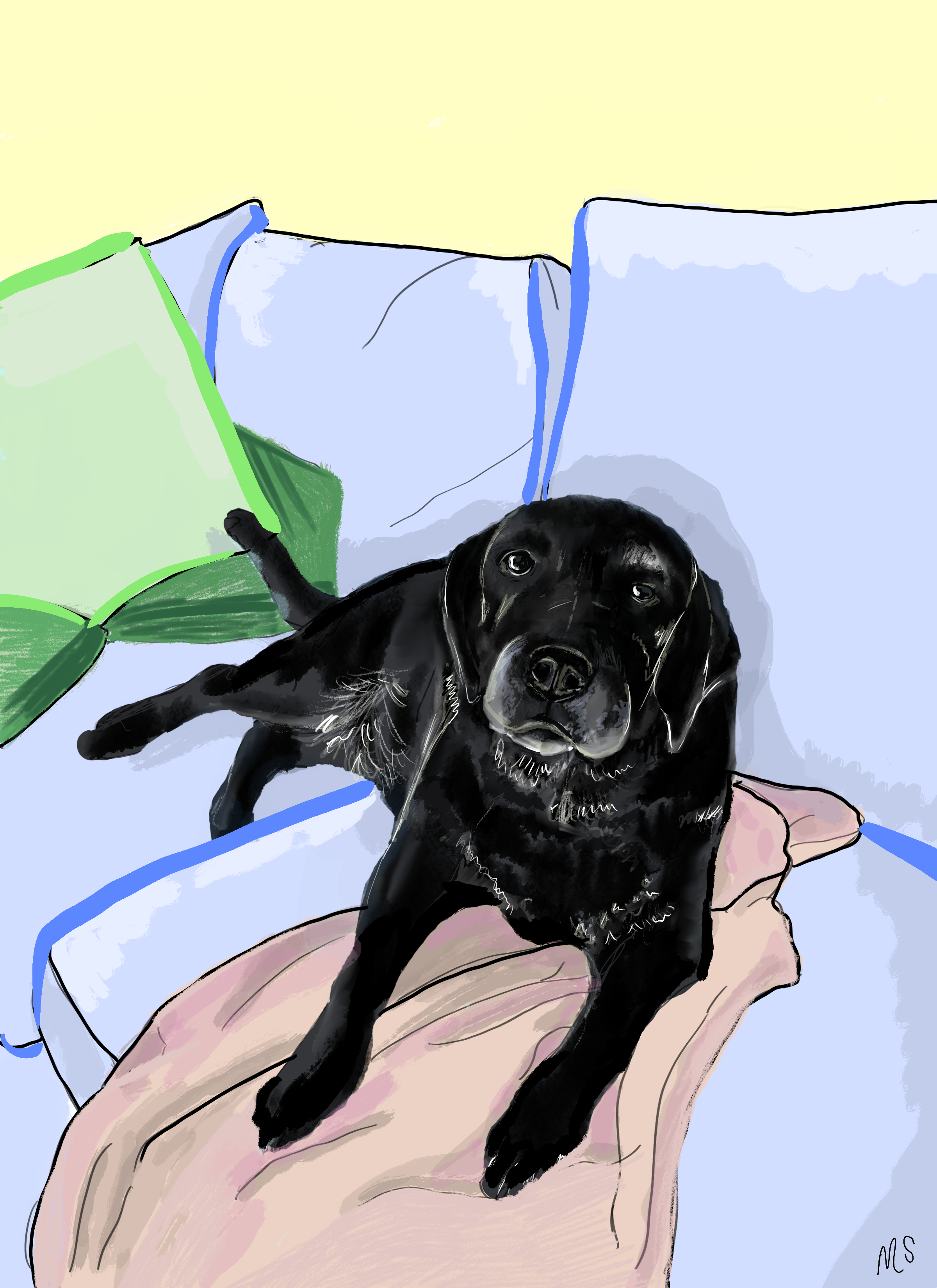 Untitled_Artwork 5.png