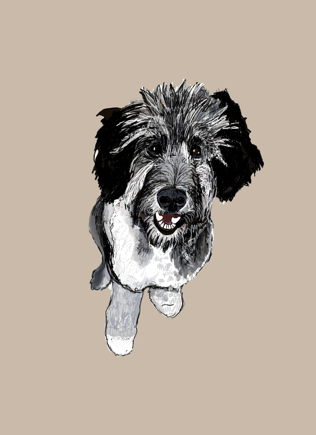 Untitled_Artwork 14.png