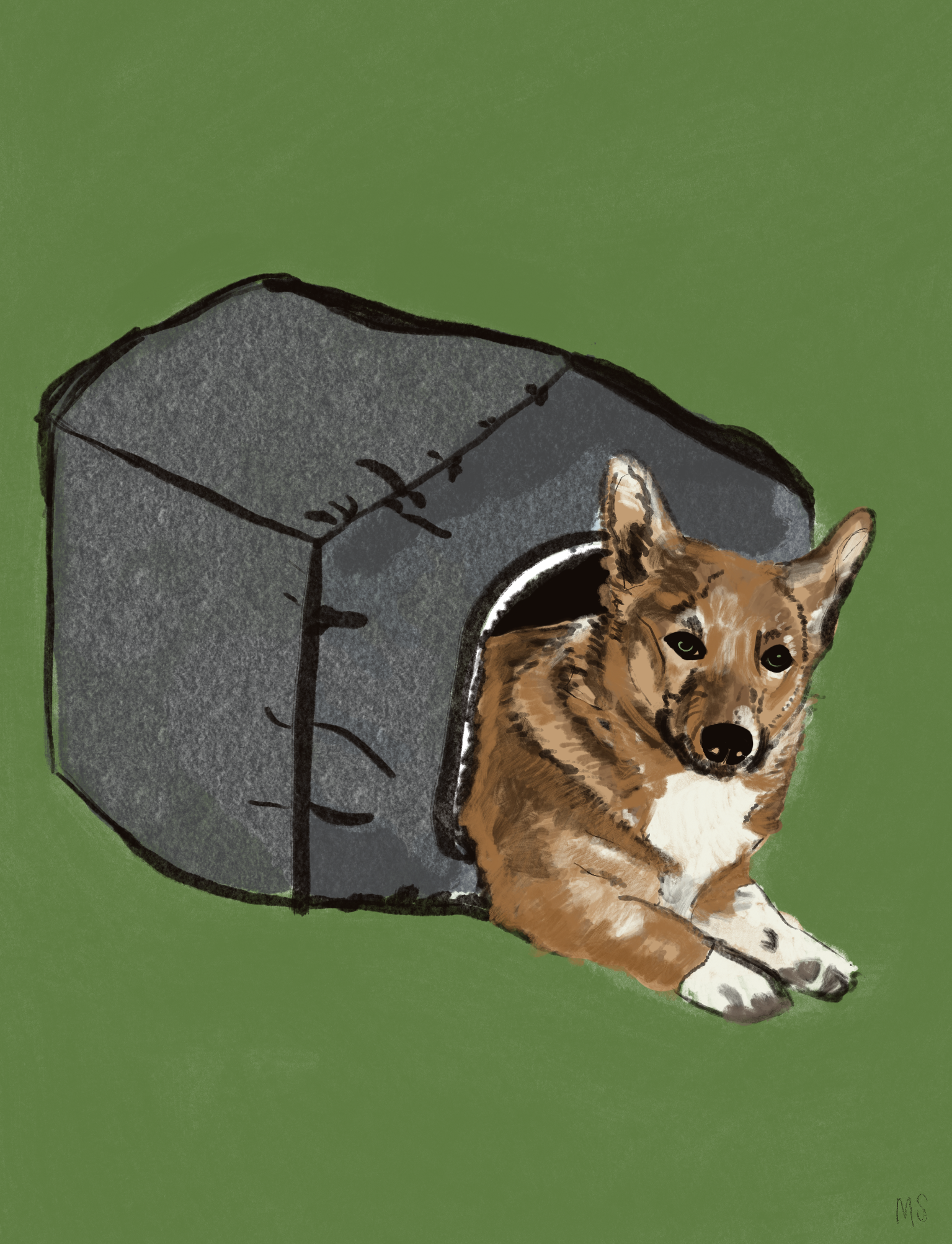 Untitled_Artwork 26.png