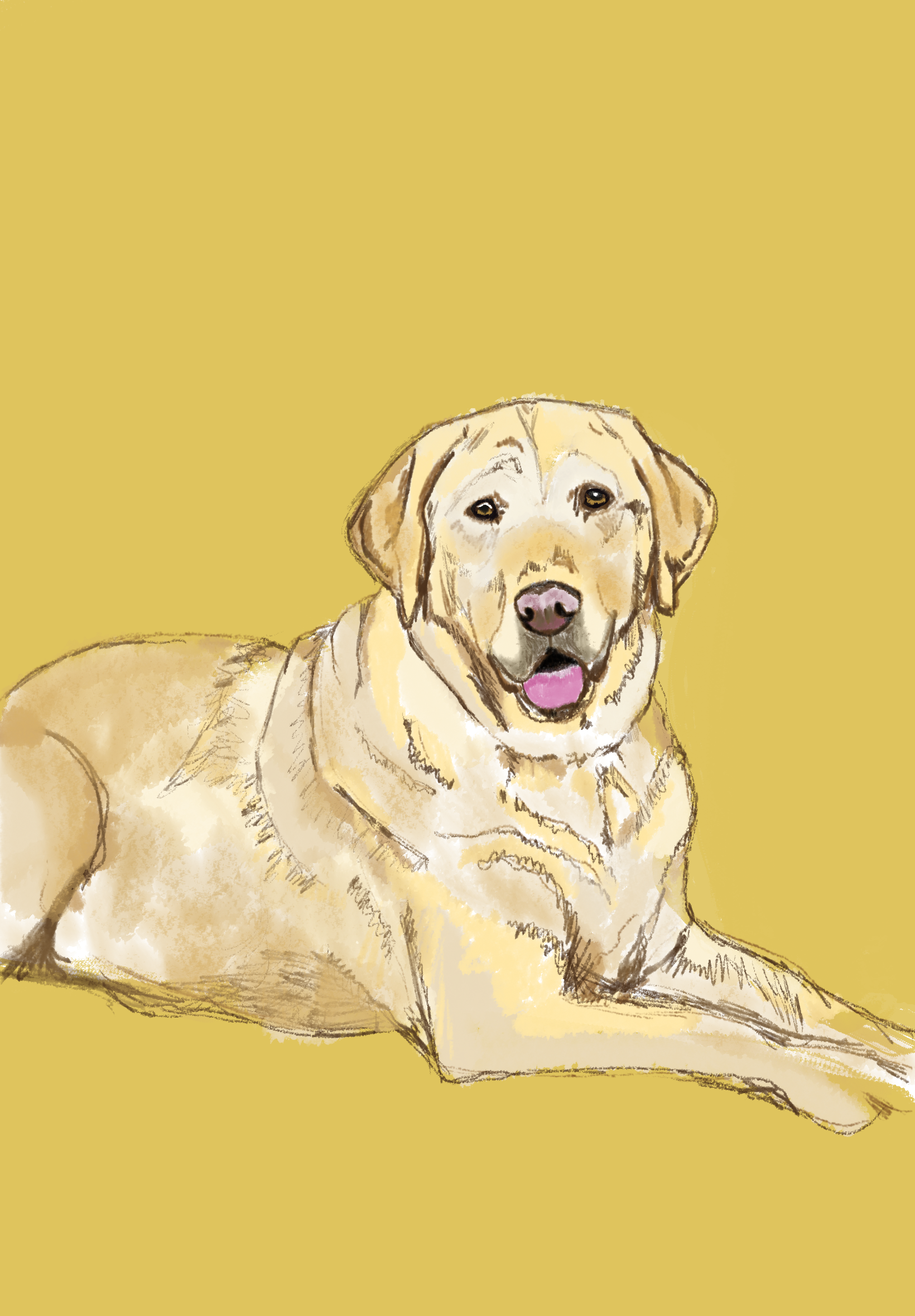 Untitled_Artwork 24.png