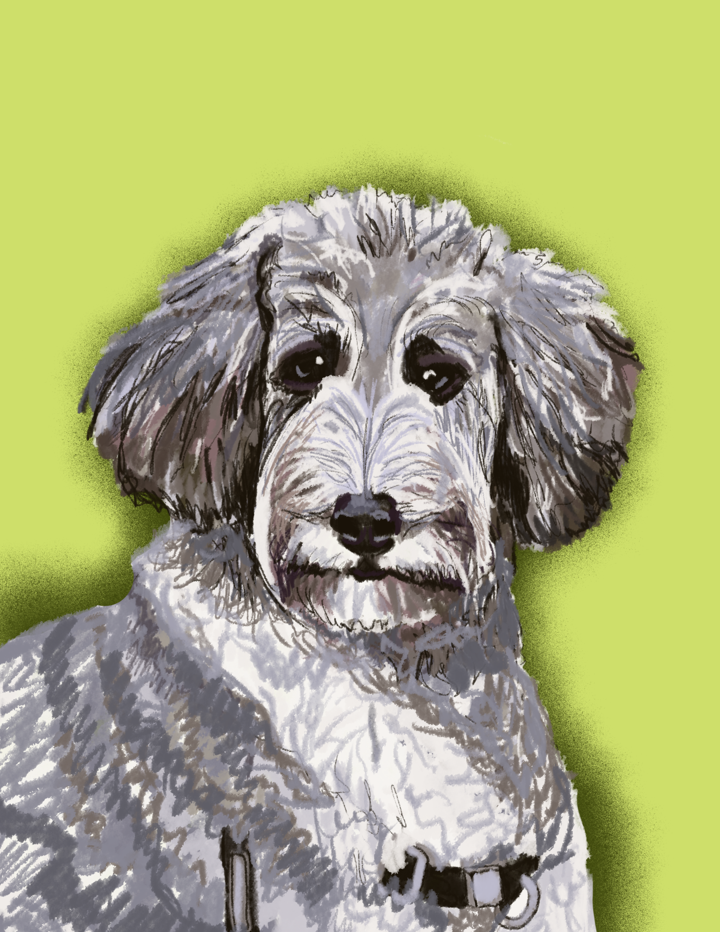 Untitled_Artwork 15.png