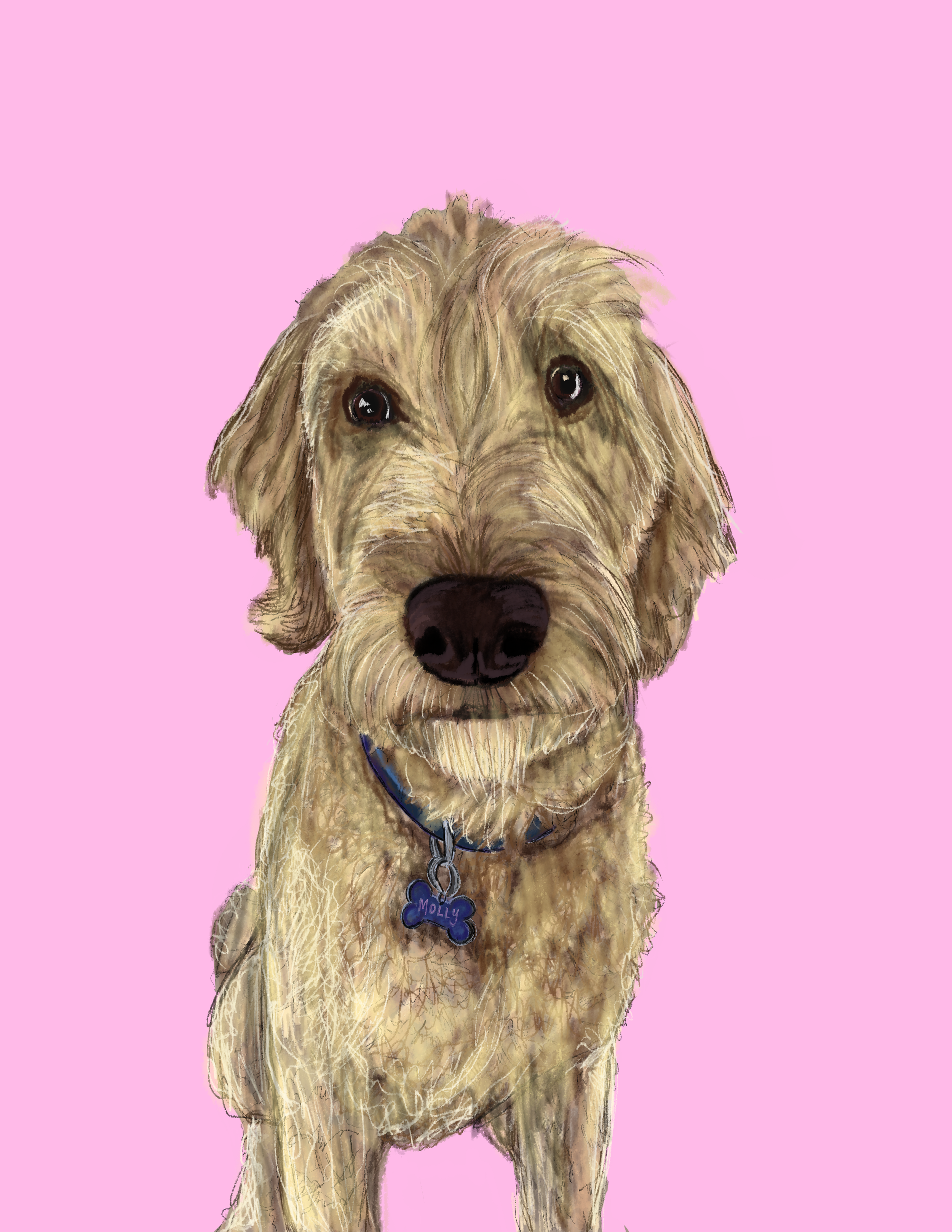 Untitled_Artwork 11.png