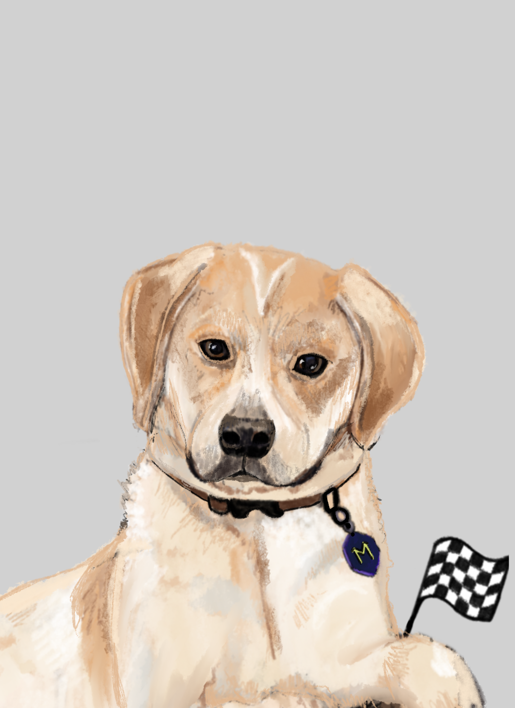 Untitled_Artwork 9.png